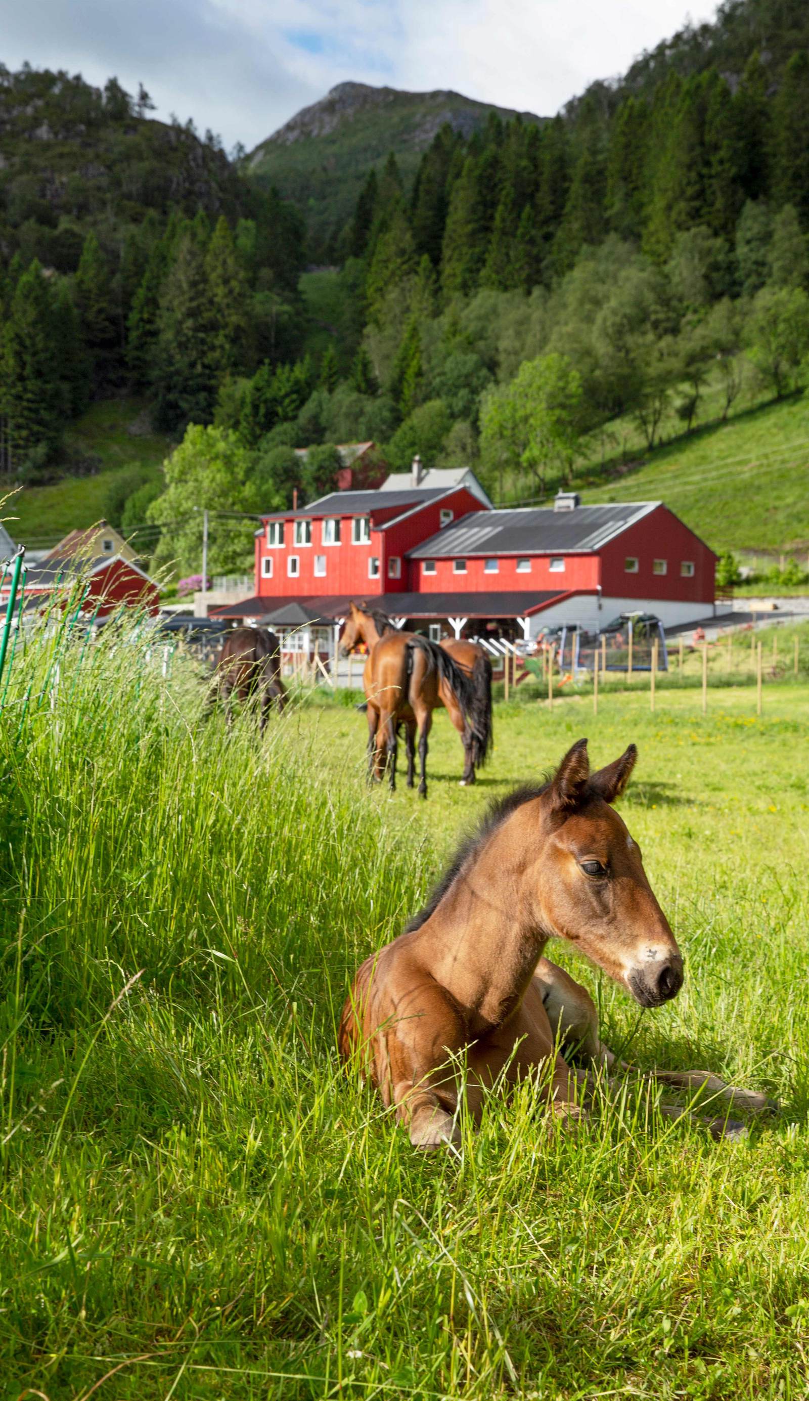 Solneset Farm Hotel