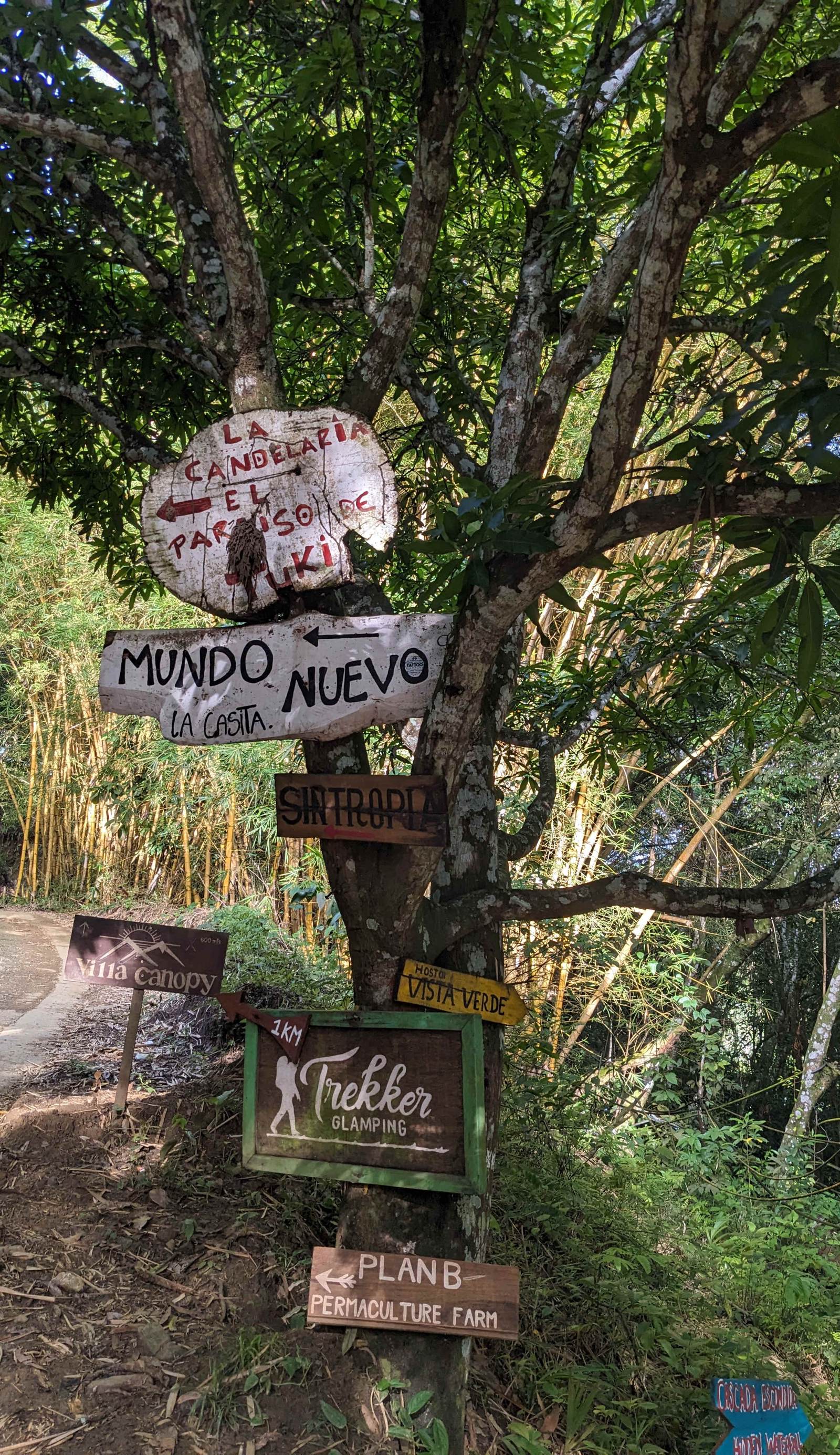 Oasis verde hostal