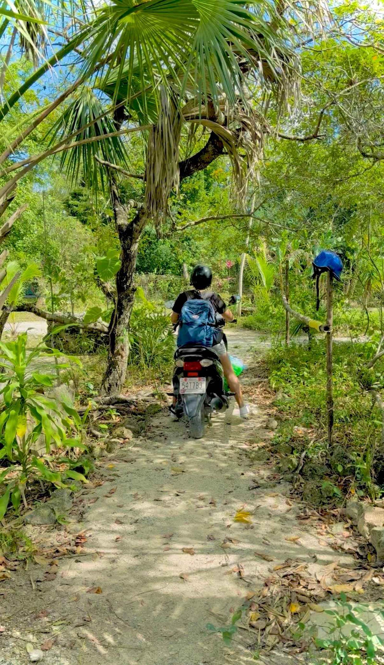 LET'S CAMP Camping Cozumel