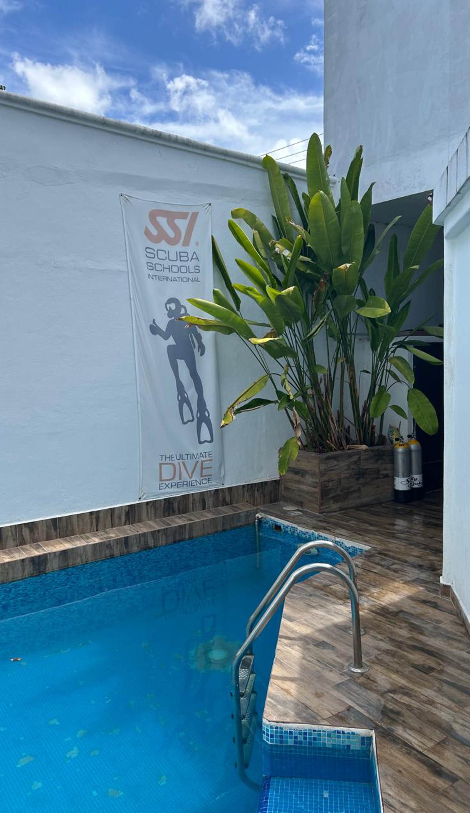 Cozumel's Scuba & Freediving Hostel