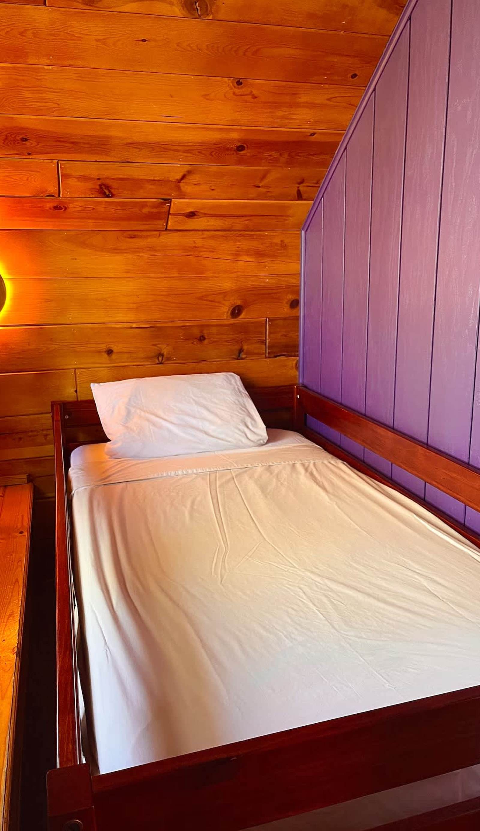 Sleepy Forest Hostel