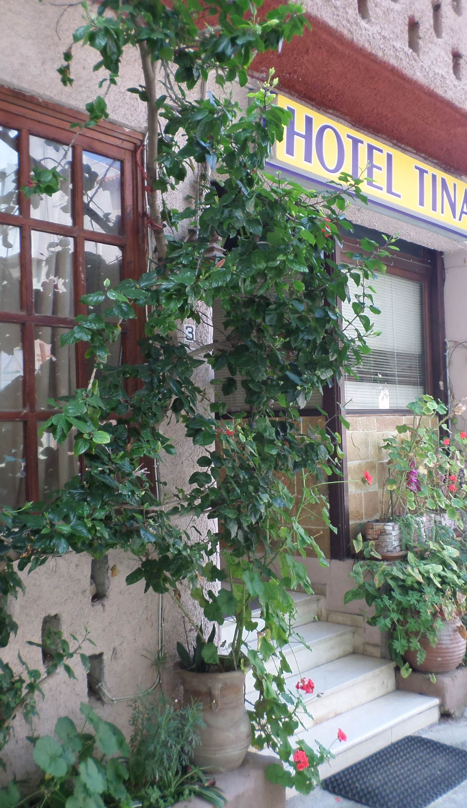 Hotel Tina Chania
