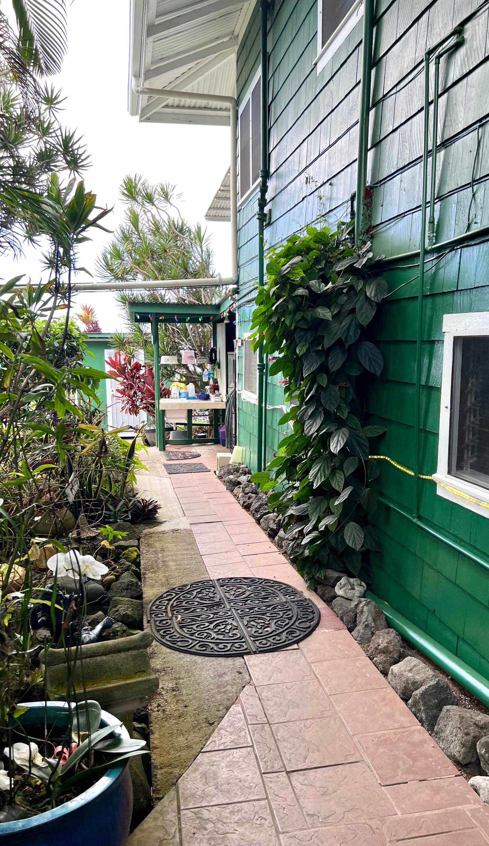Pineapple Park Kona