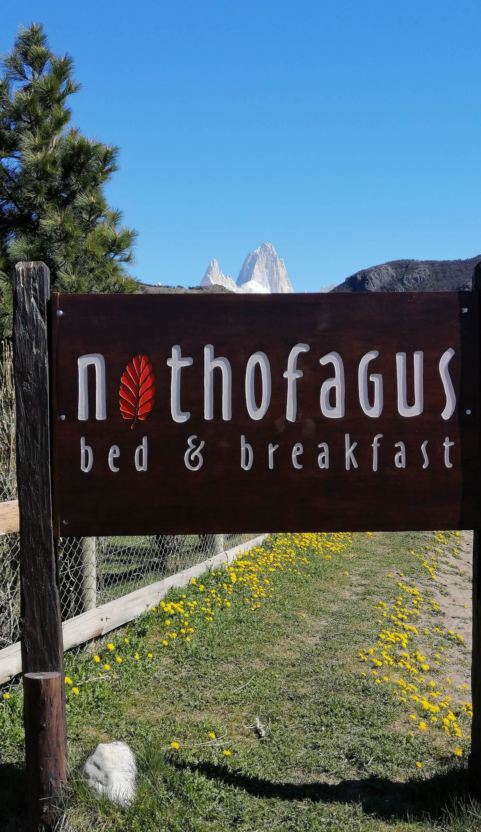Nothofagus B&B