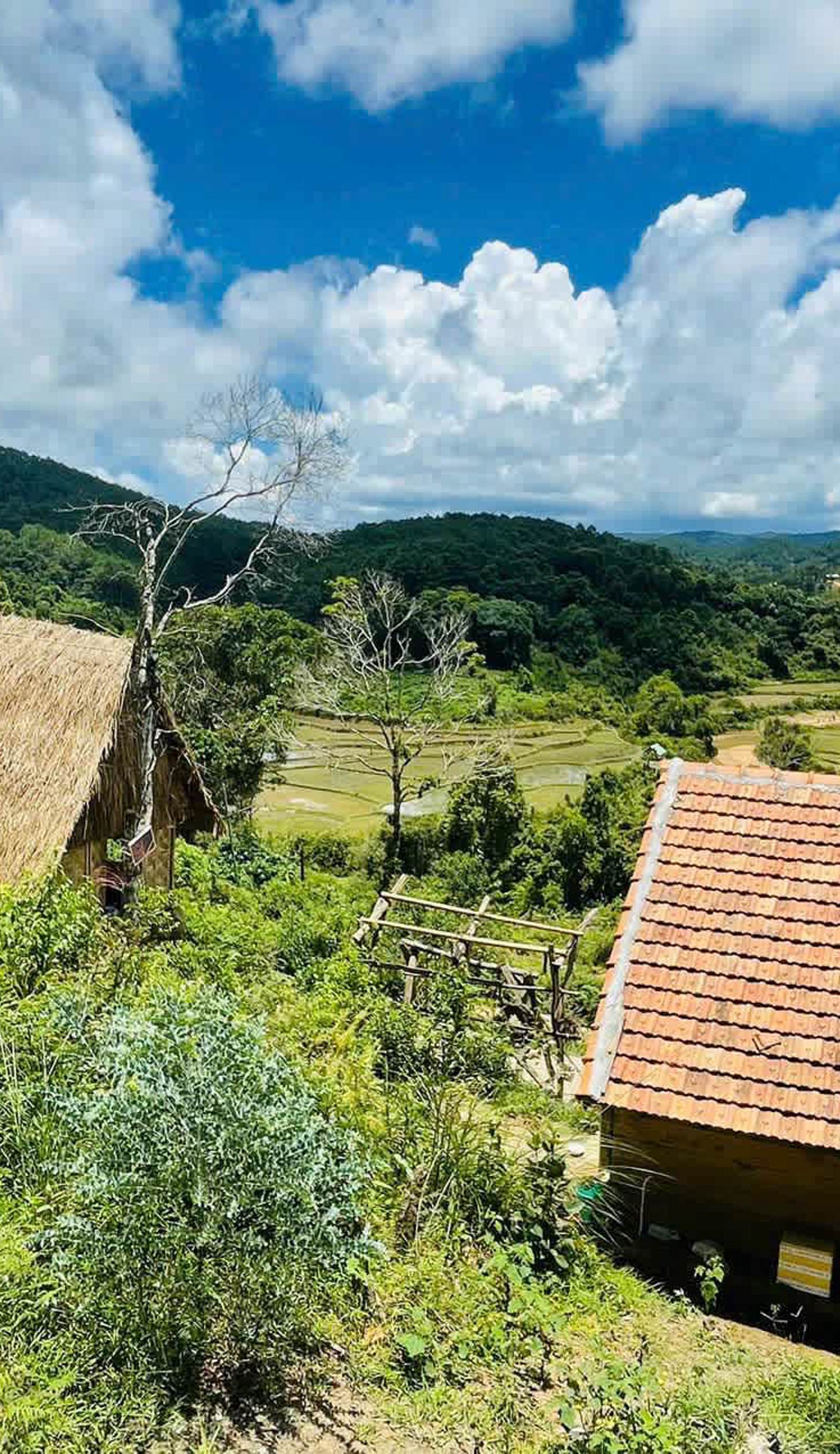 Konke Ruong Farmstay