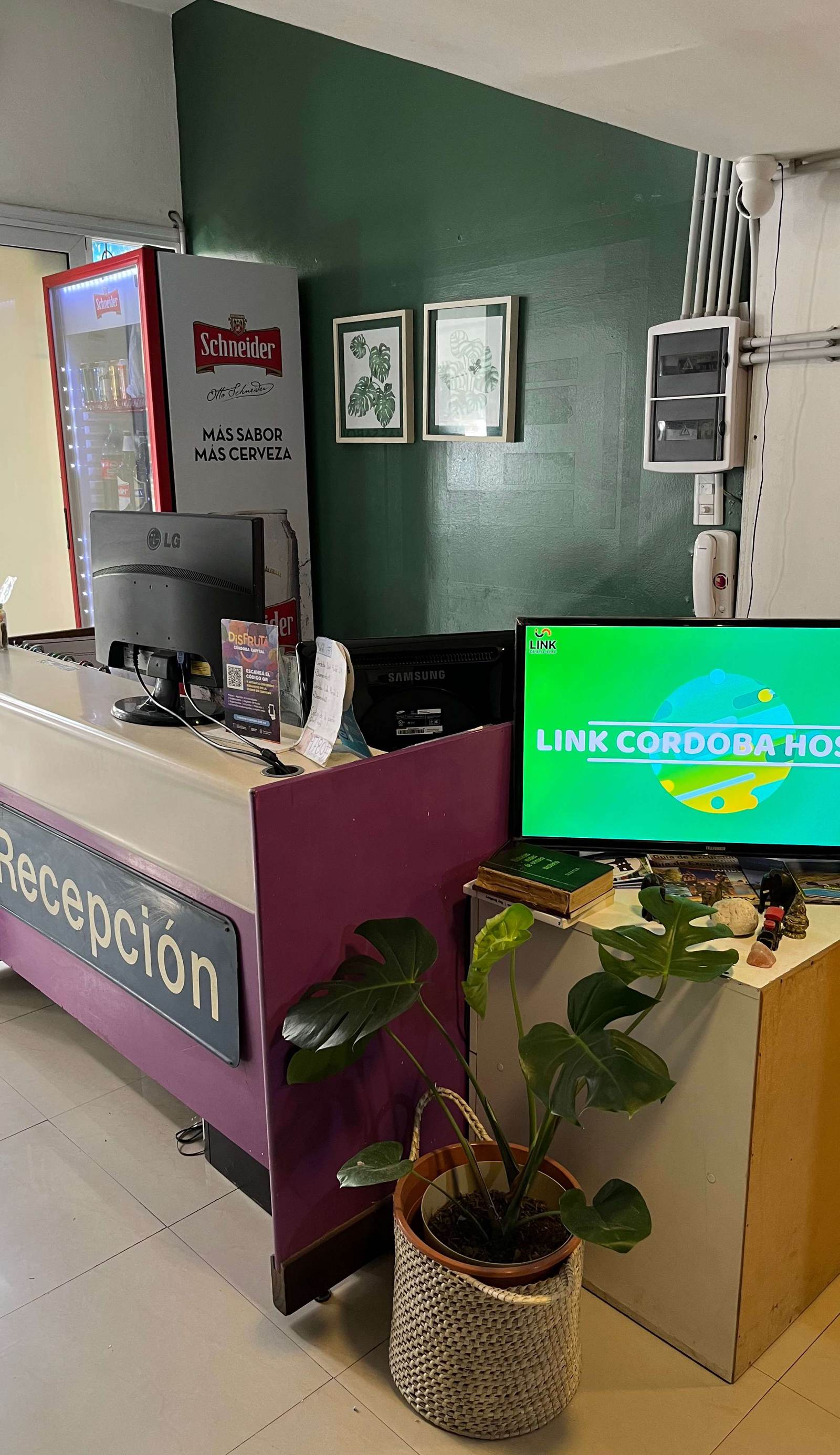 Link Cordoba Hostel