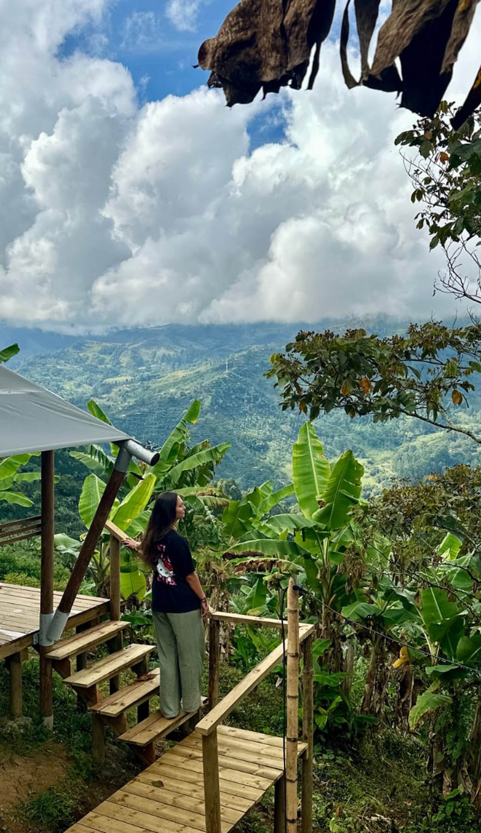 Glamping Jardín