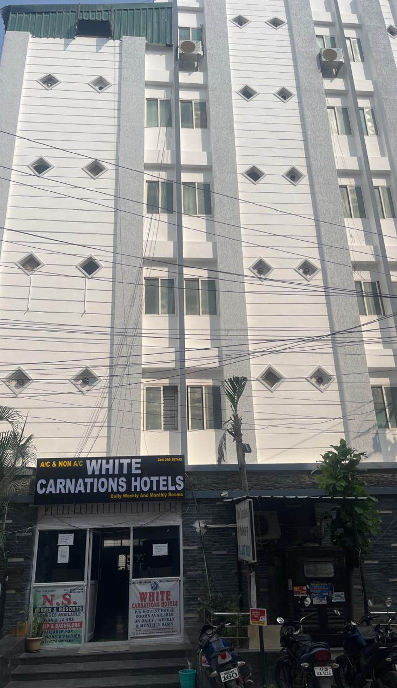 White Carnations Hotel