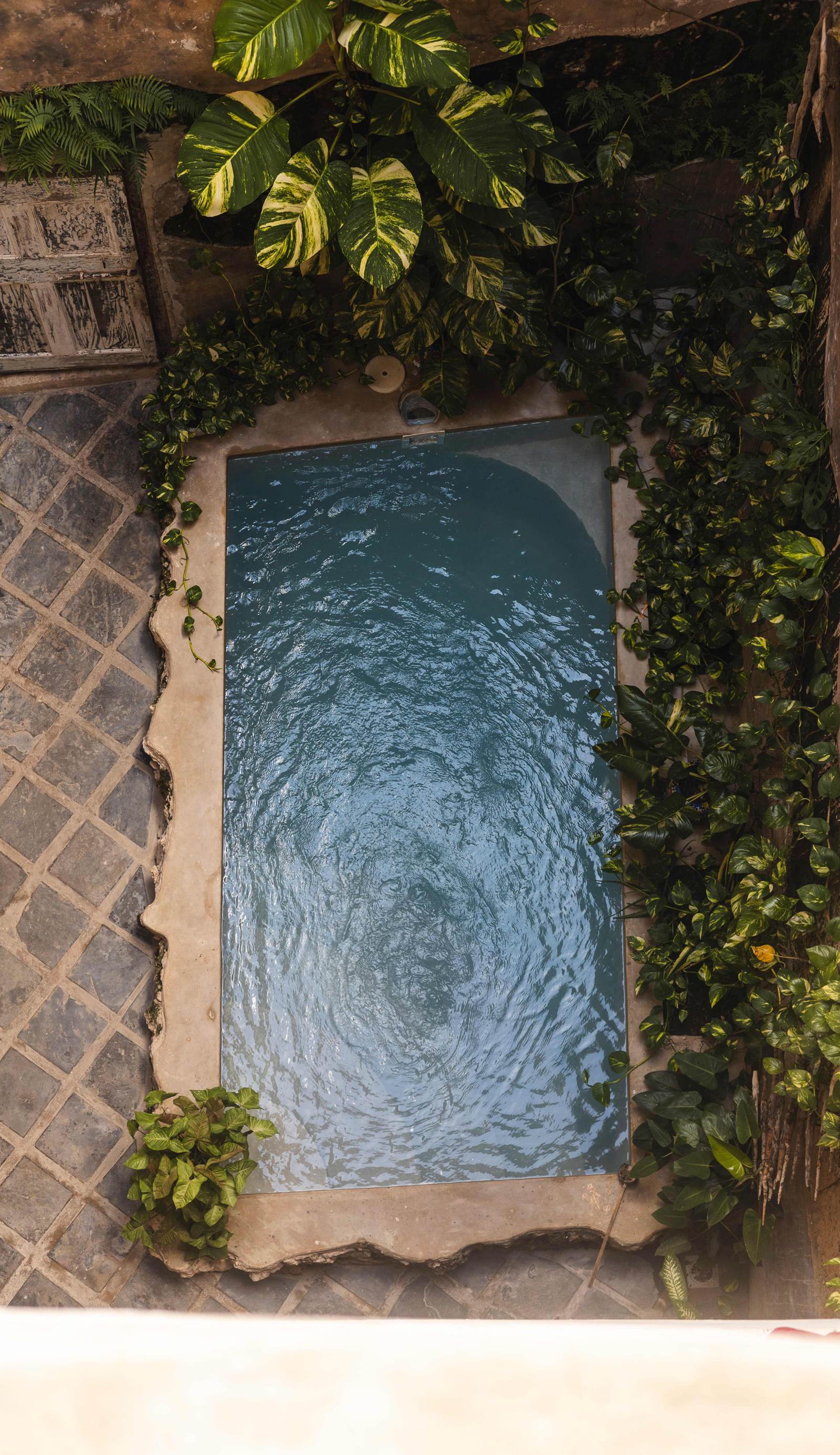 Firefly Zanzibar