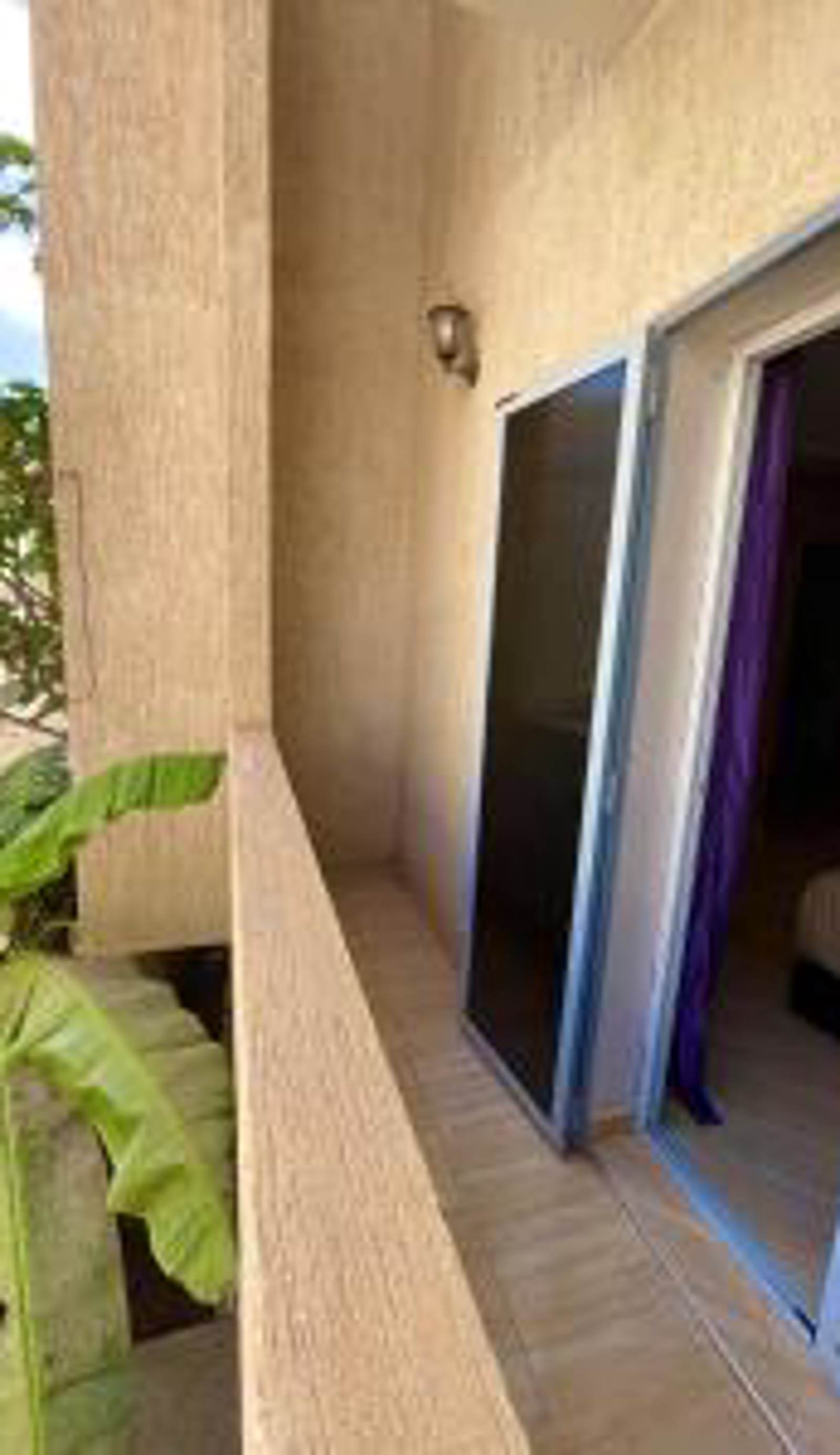 Papaya Hostel