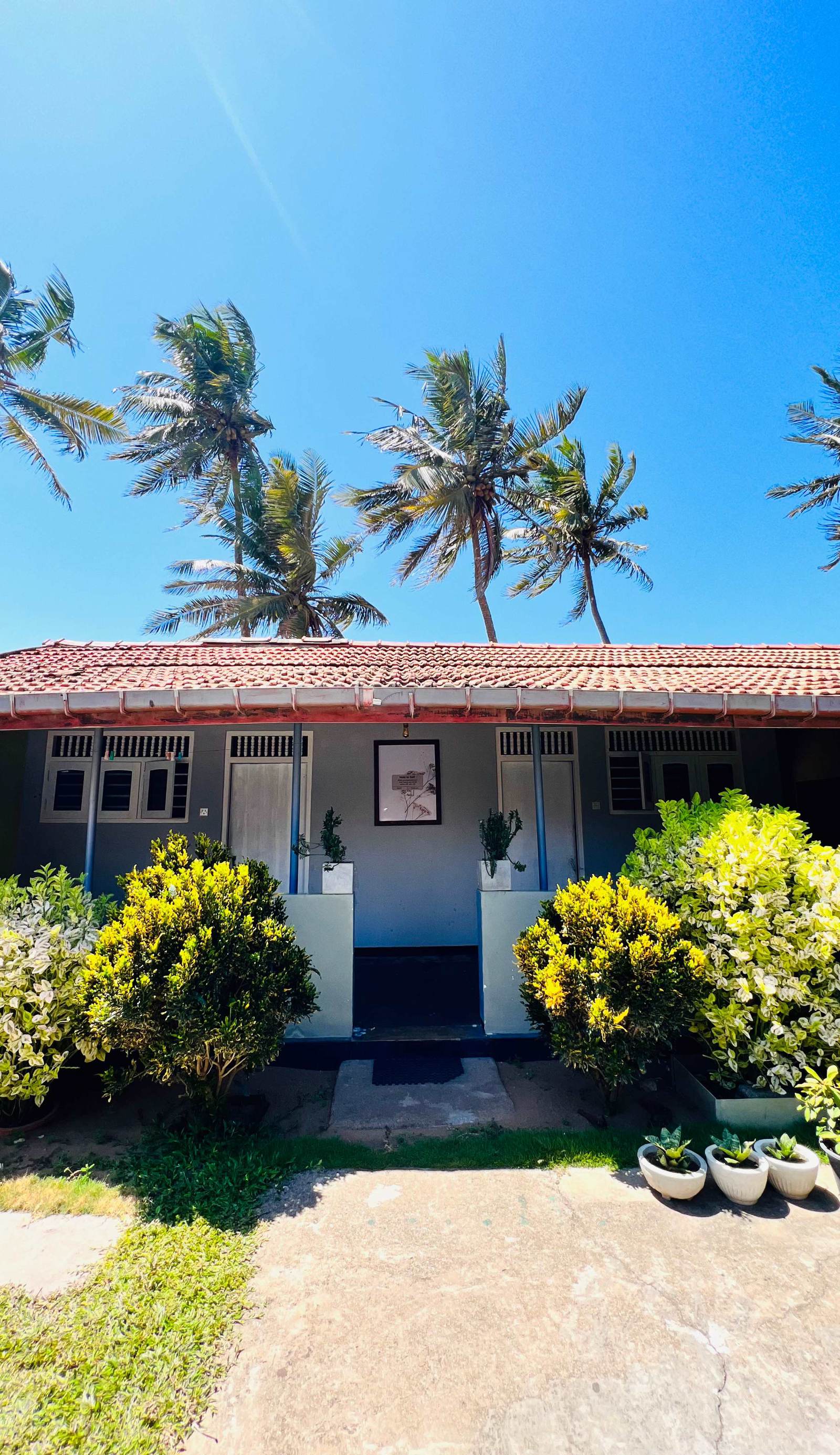 Flexi Lodge and Hostel by The Sea
