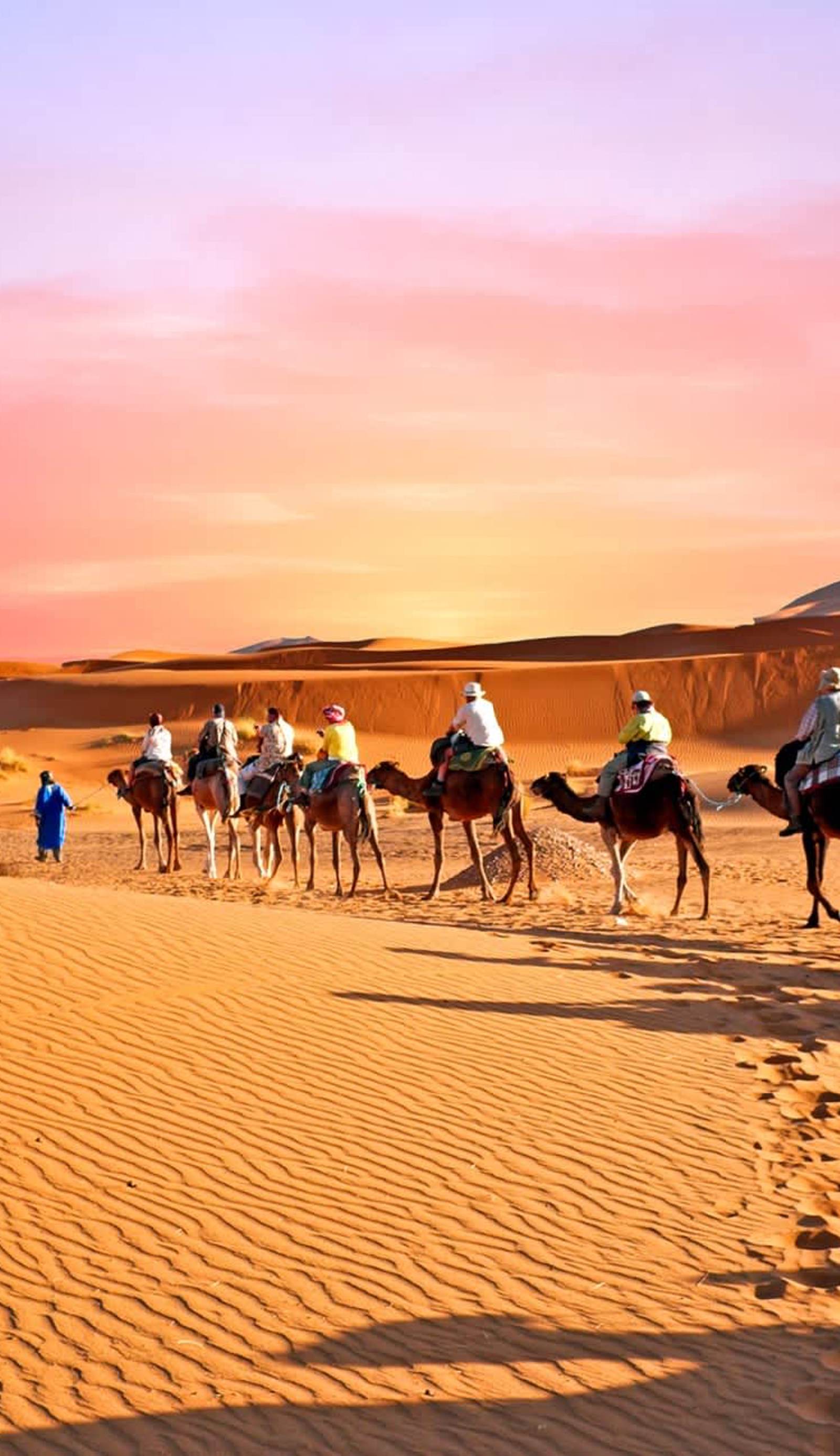 Dar Camel Trek Bivouac