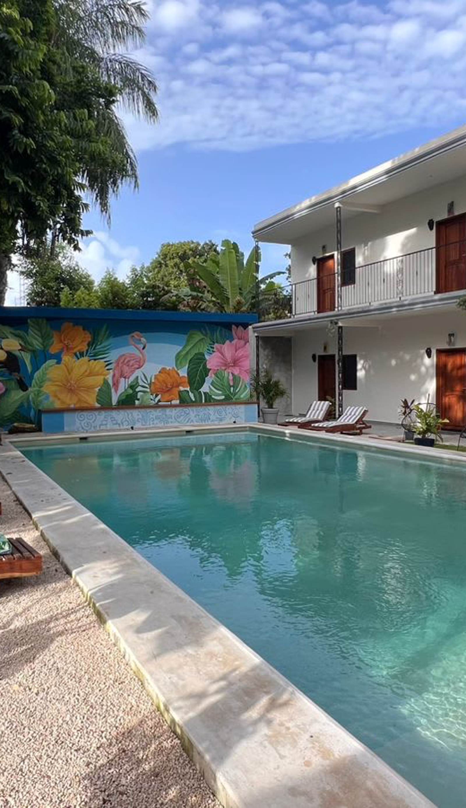 Casa Mexico Lindo - Boutique Hostel