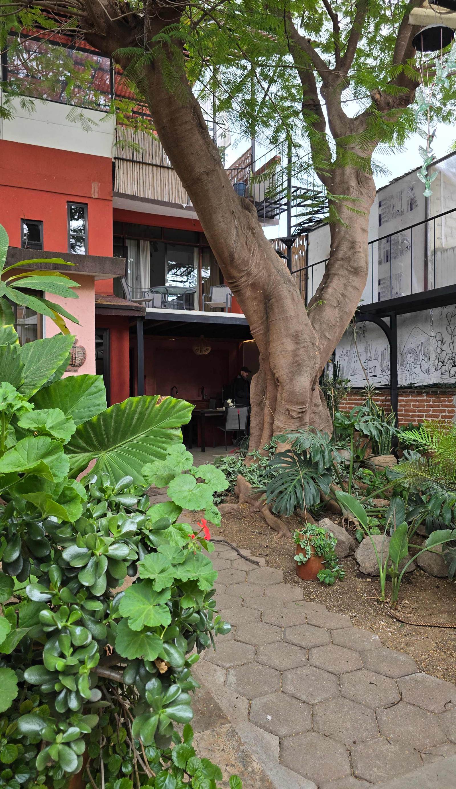 Casa del Árbol Hostel Xochimilco