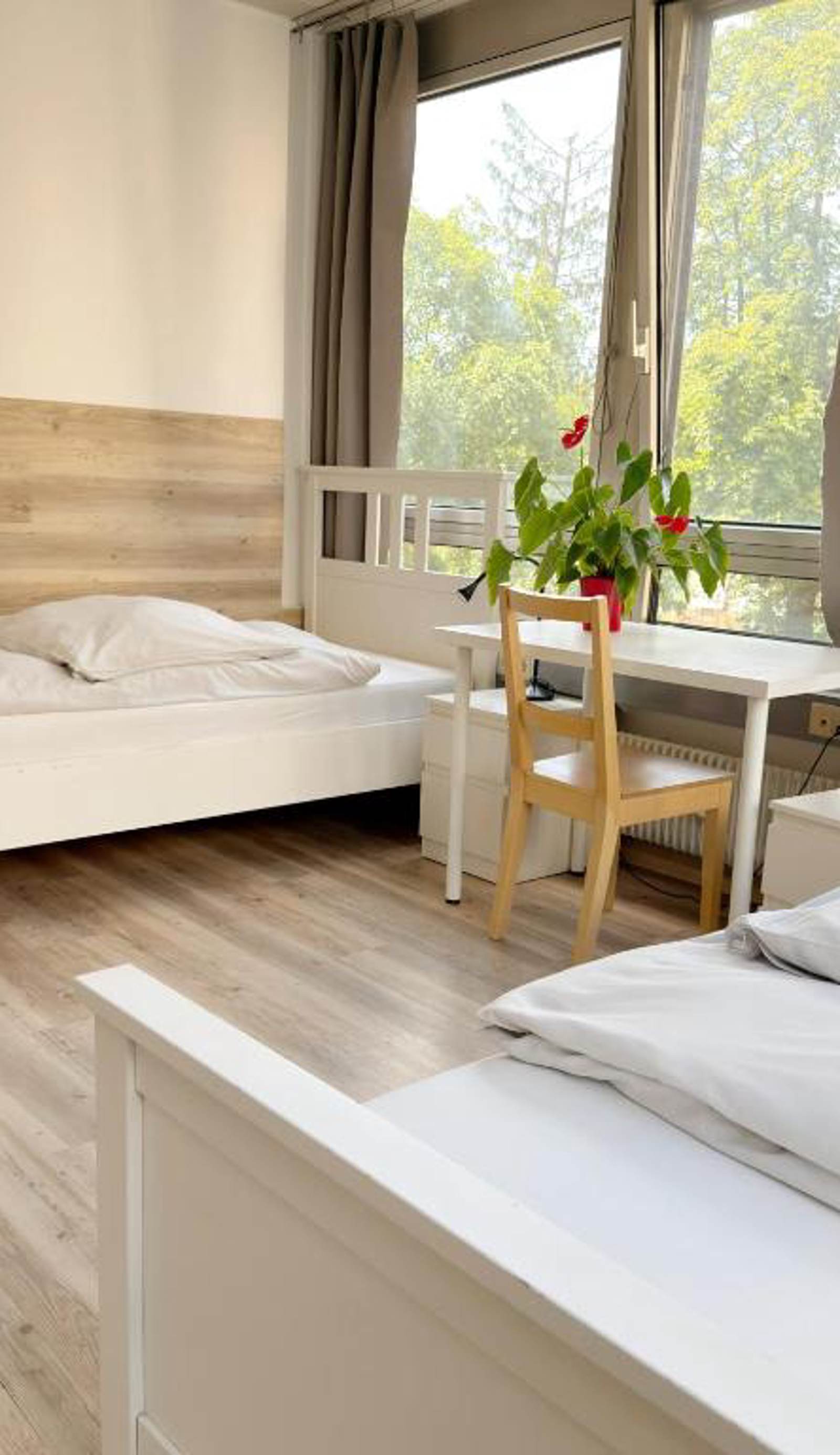 Sprachcaffe Appartements