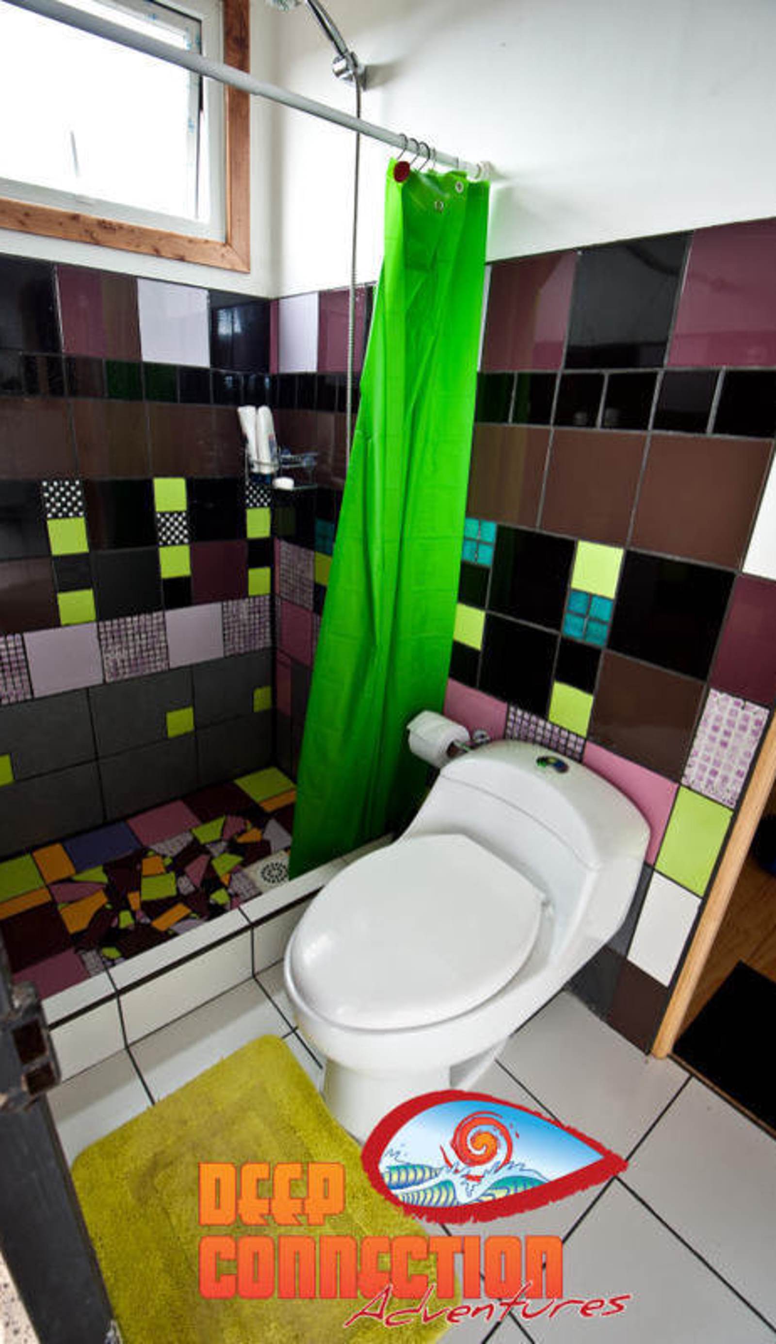 The Sirena Insolente Hostel
