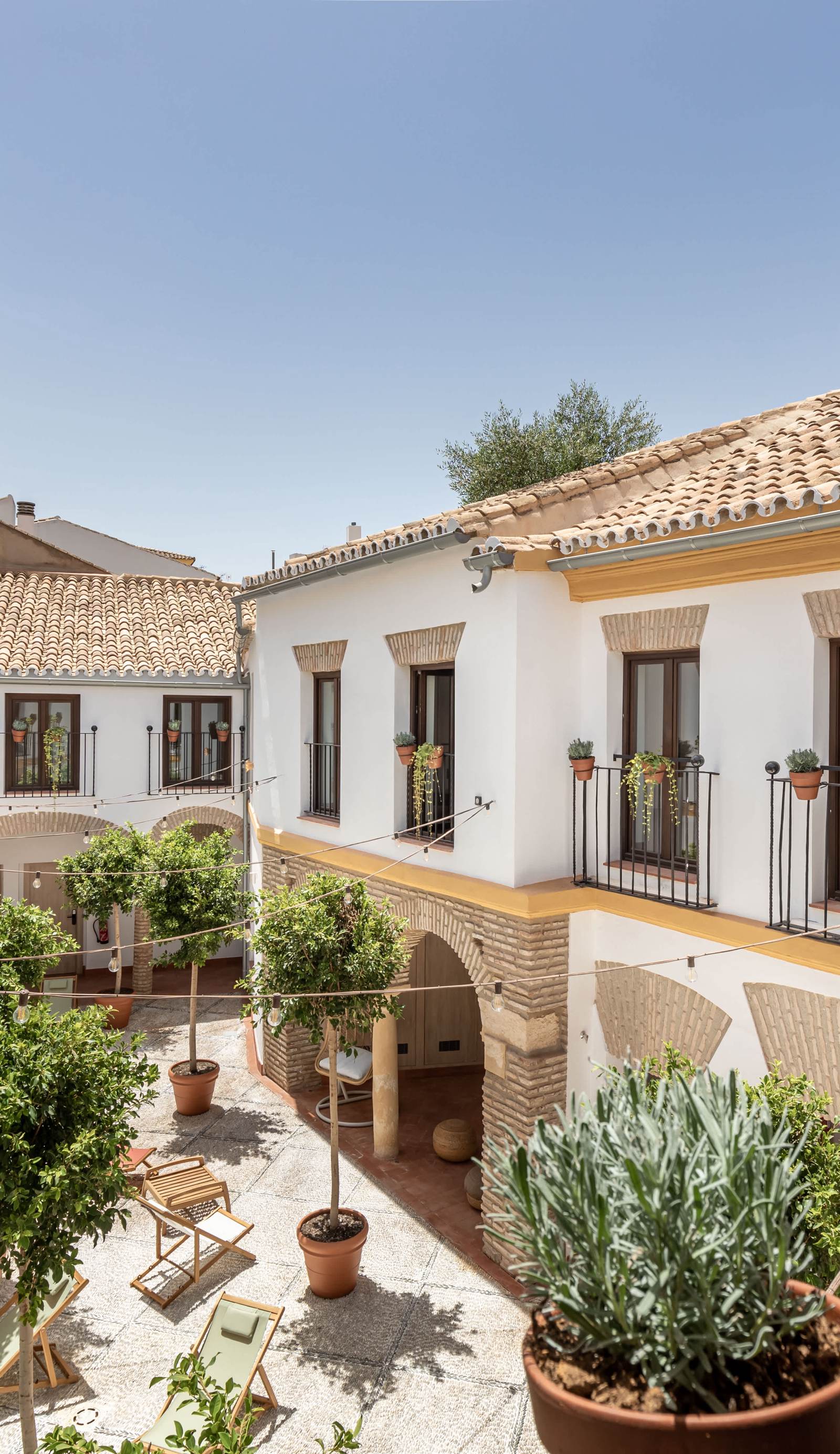 Cats Hostels Cordoba
