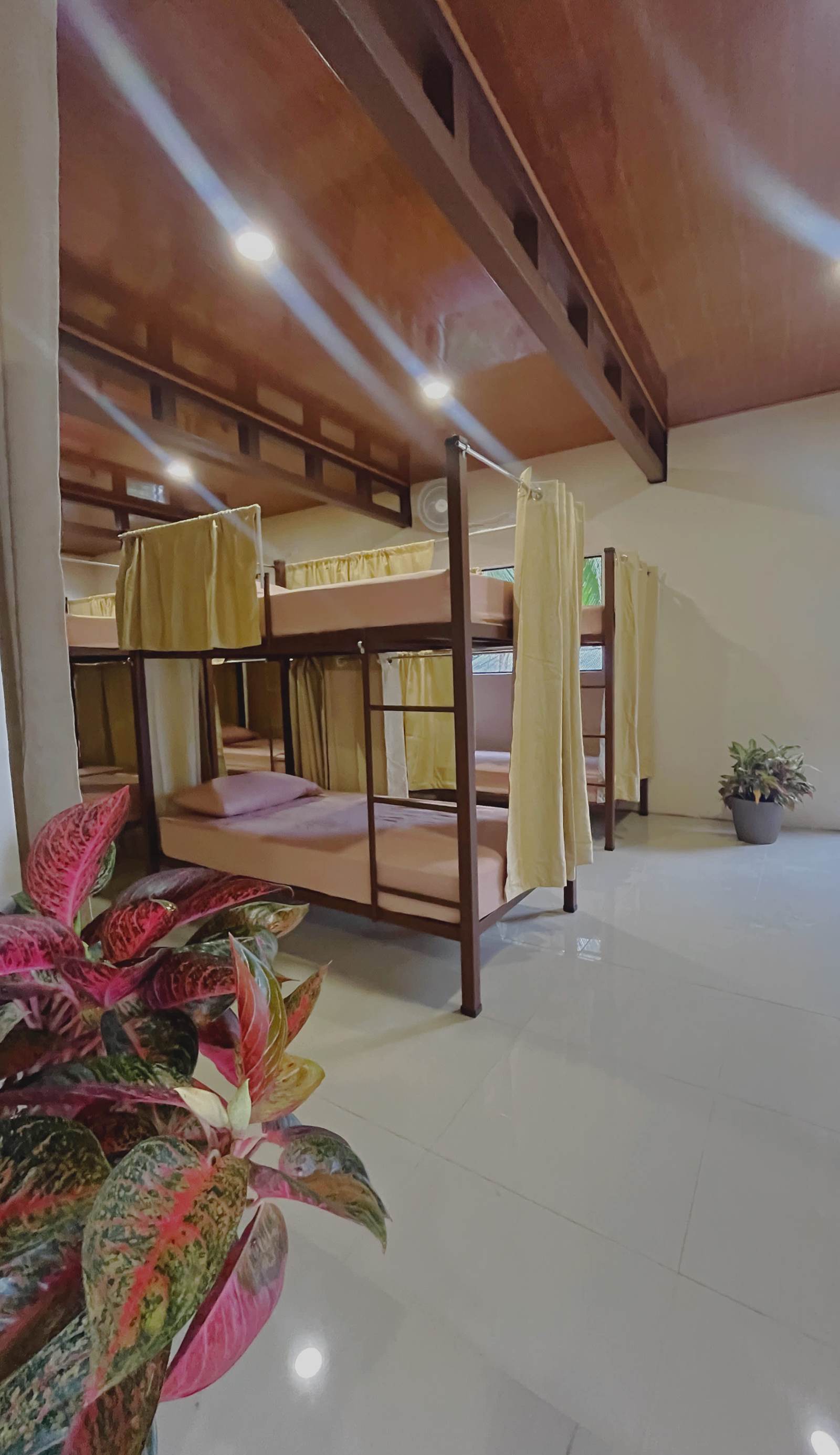 Hostel Mar y Bosque