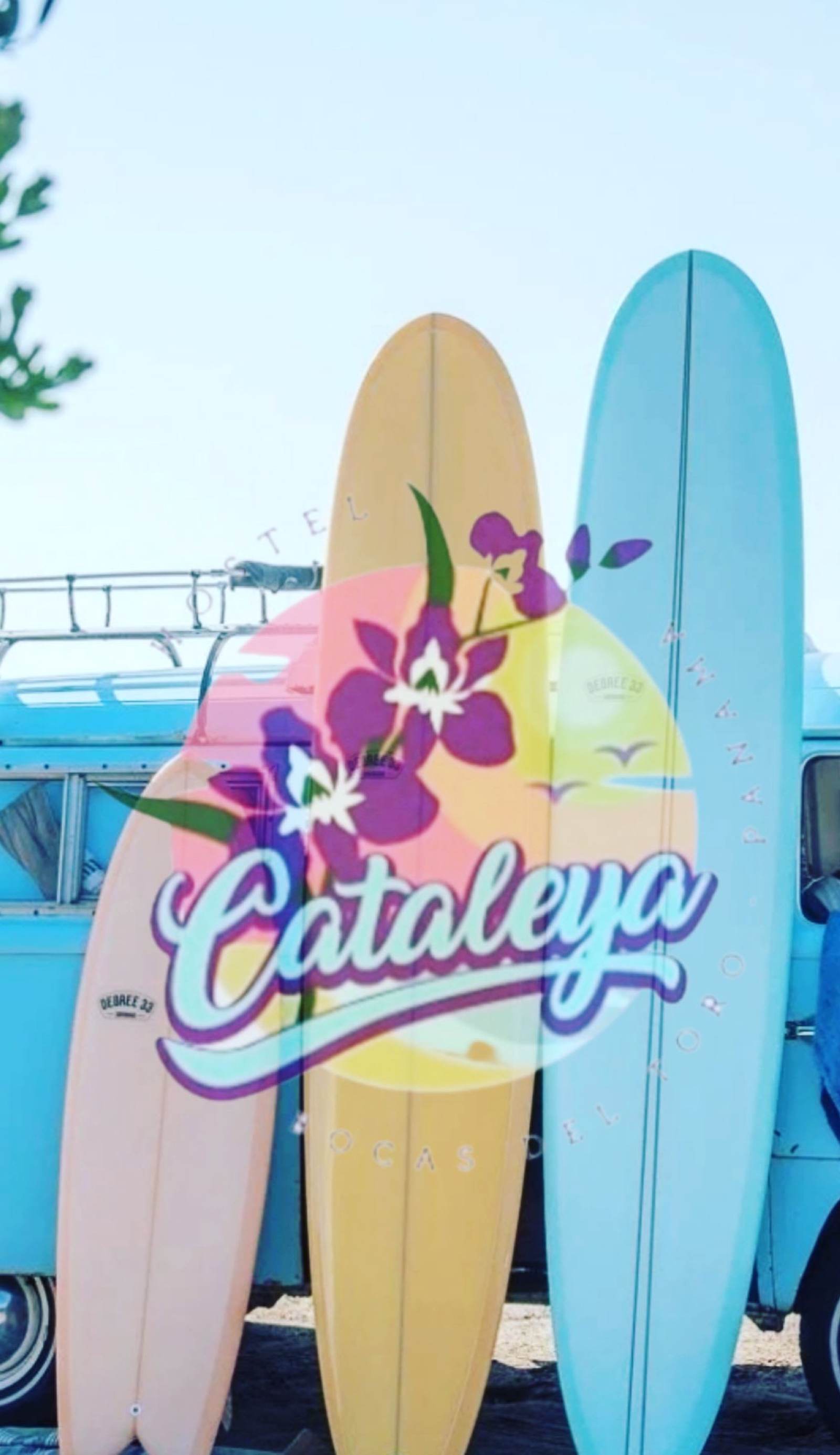 Cataleya Hostel
