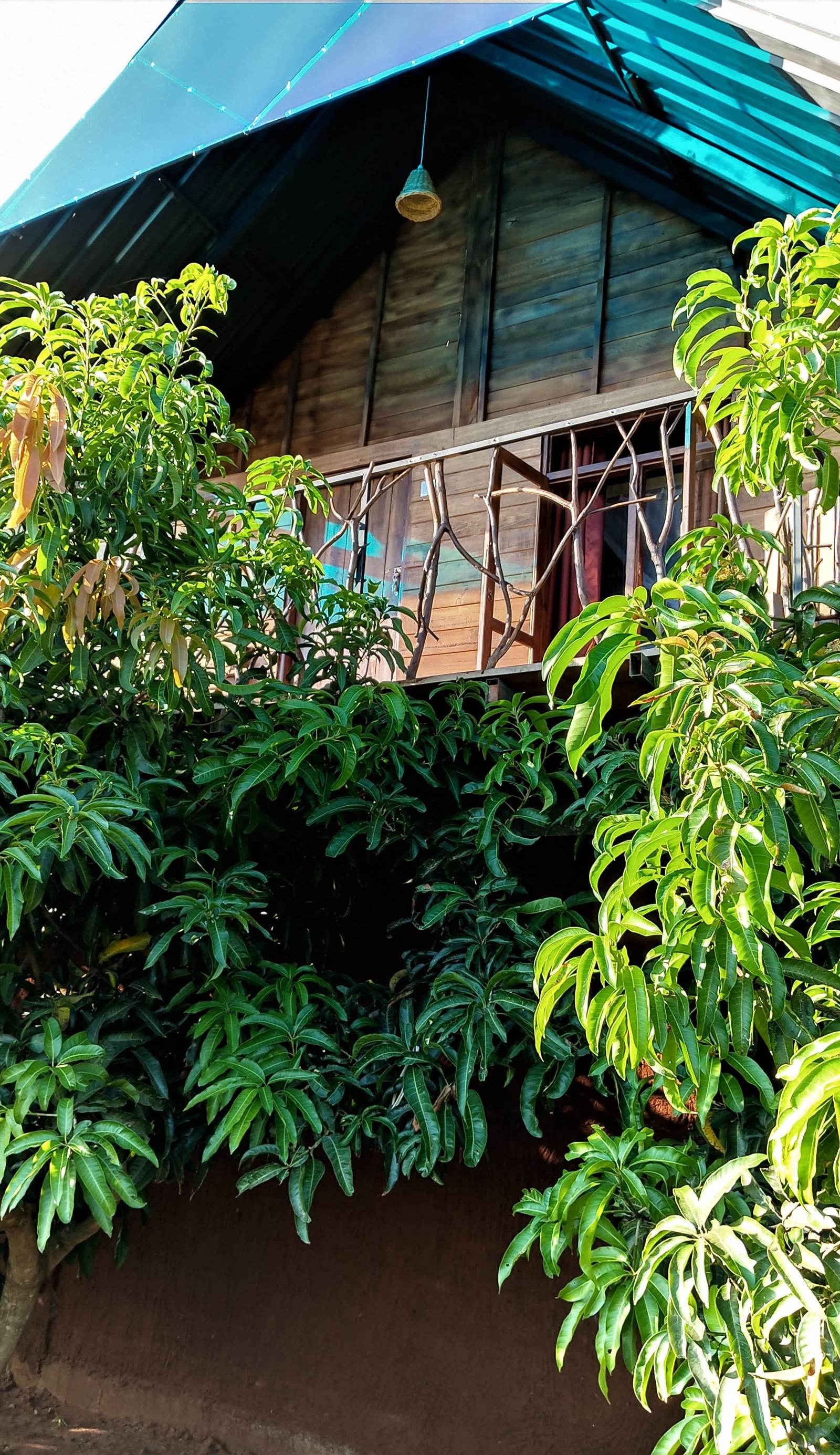 Elegant Elephant Hostel Sigiriya