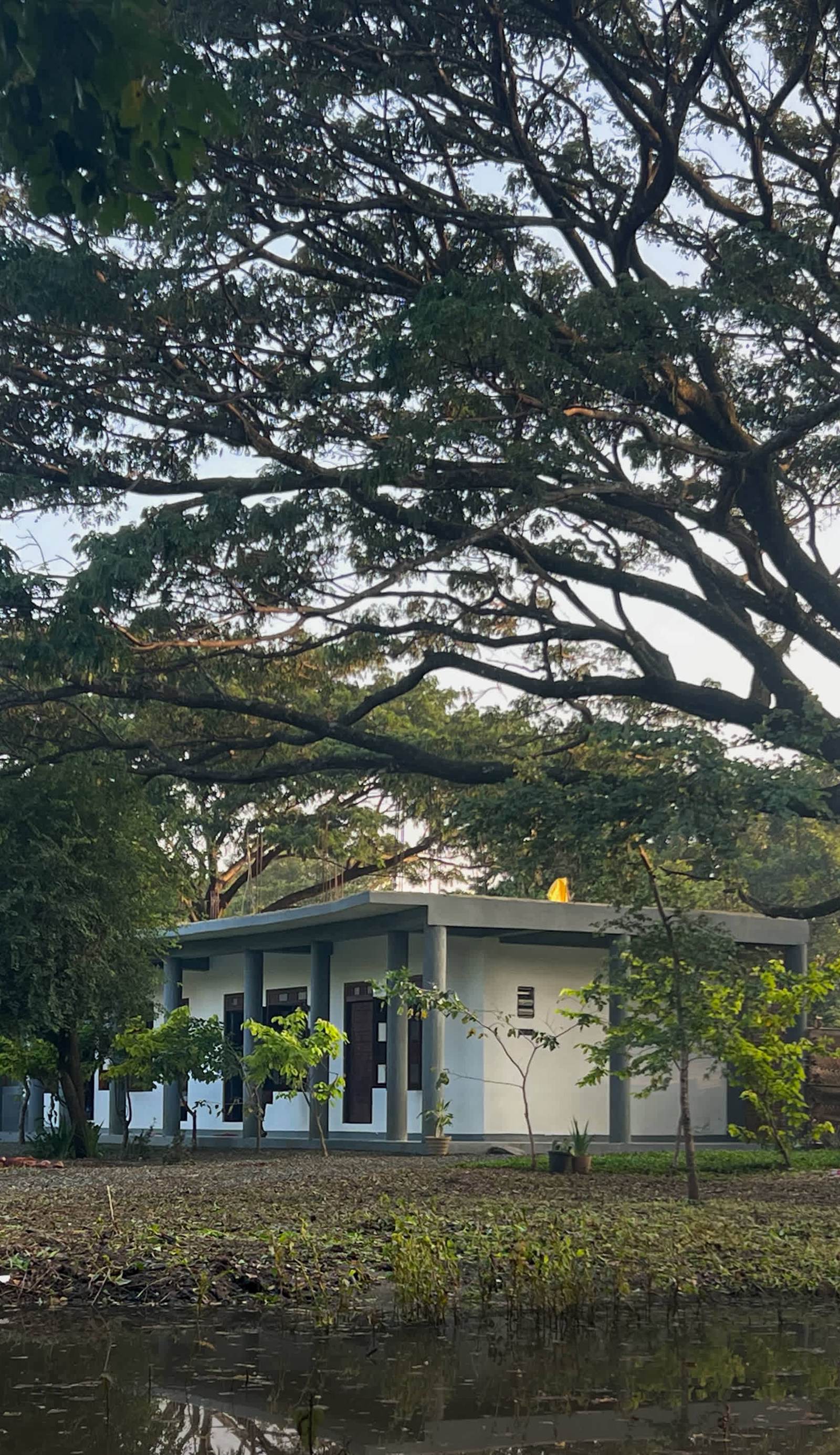 Vibra Hostel