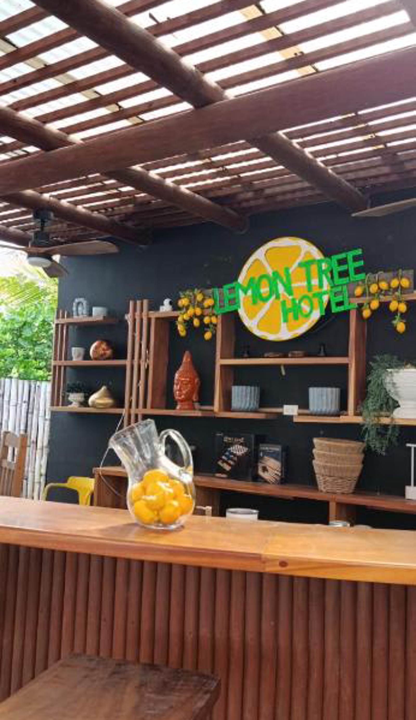 Lemon Tree El Paredon