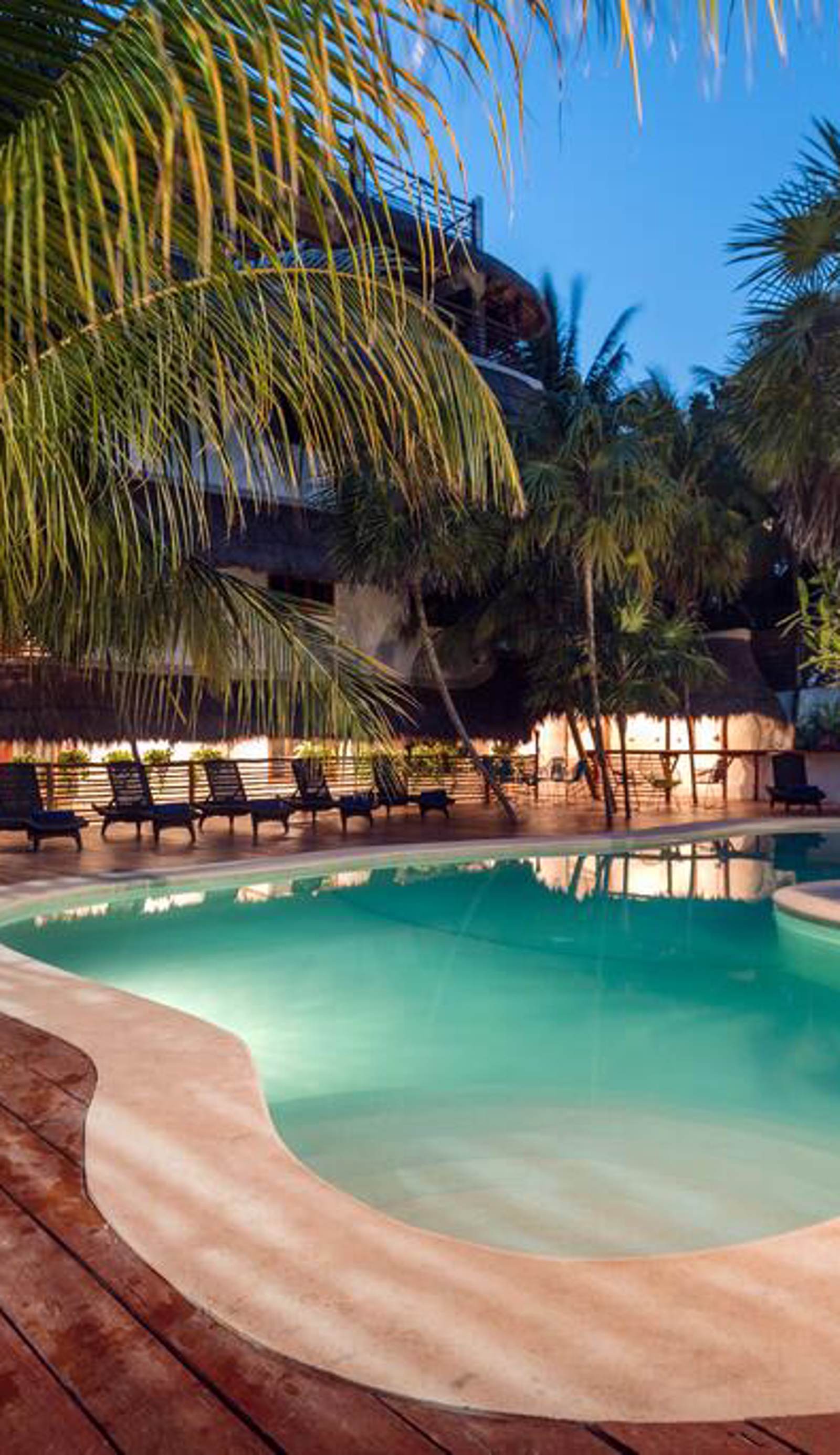 La Palma Holbox