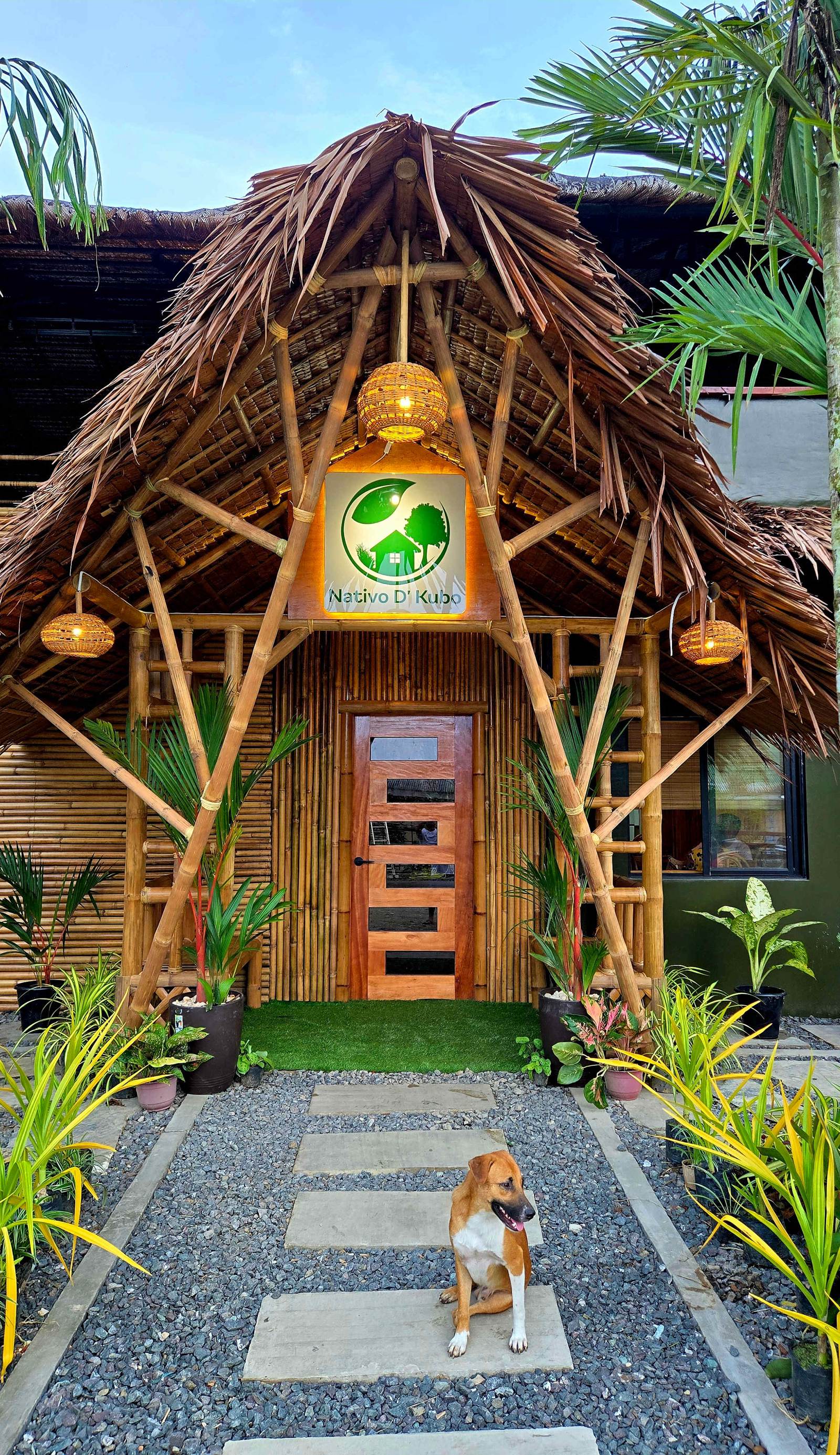 Nativo D Kubo Hostel - Mixed Dorm