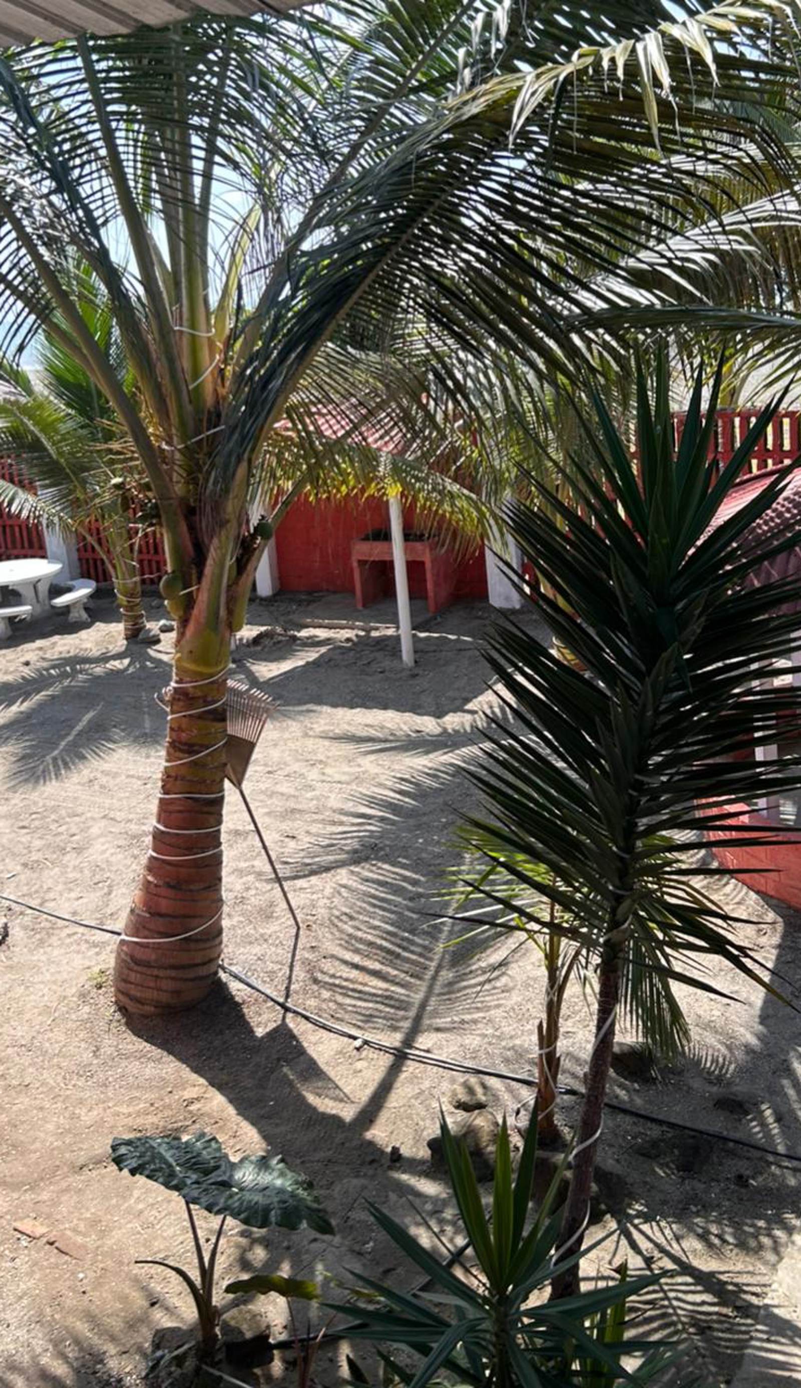 Cabañas Costa Azul