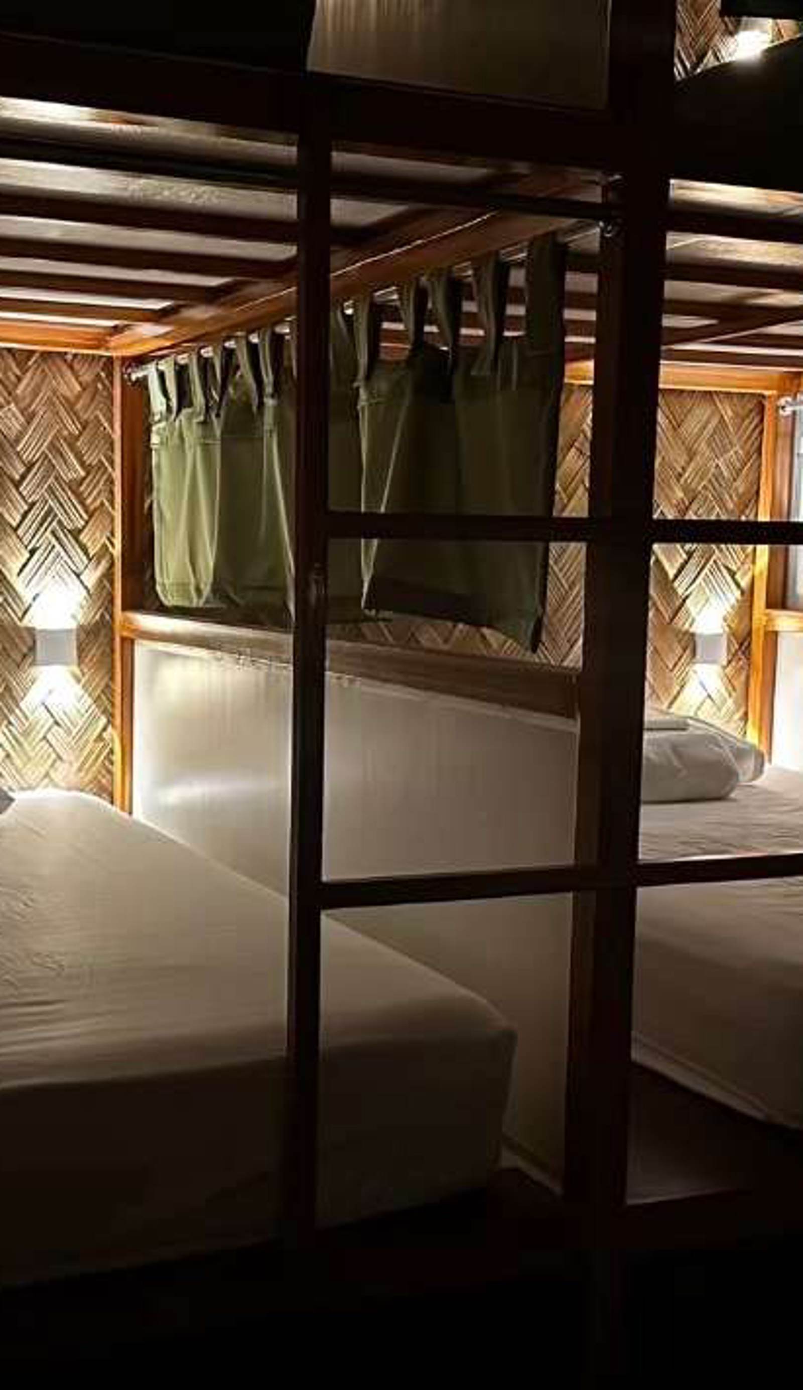 Jungle Hostel