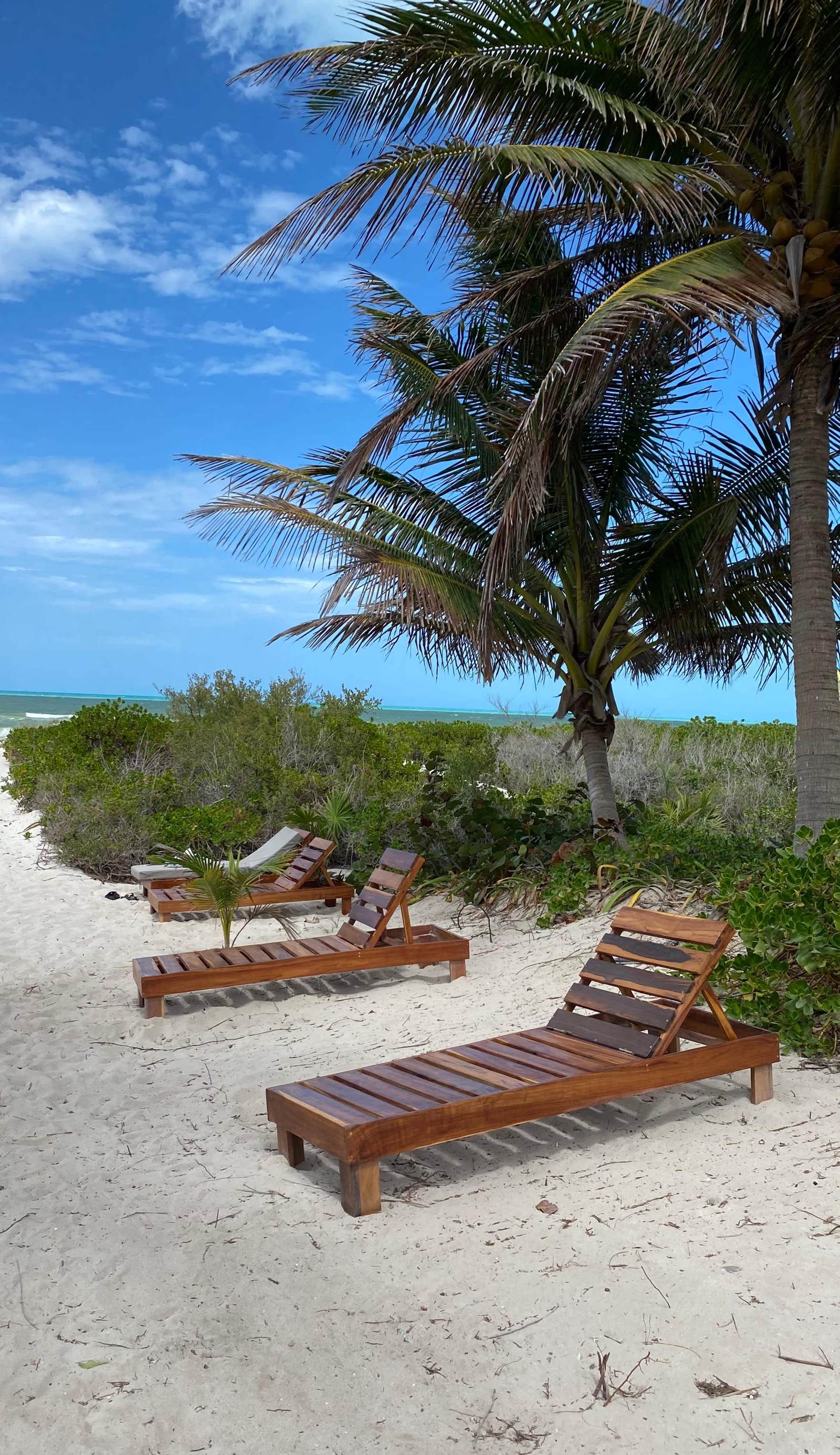 Frequency Hostel Beachfront