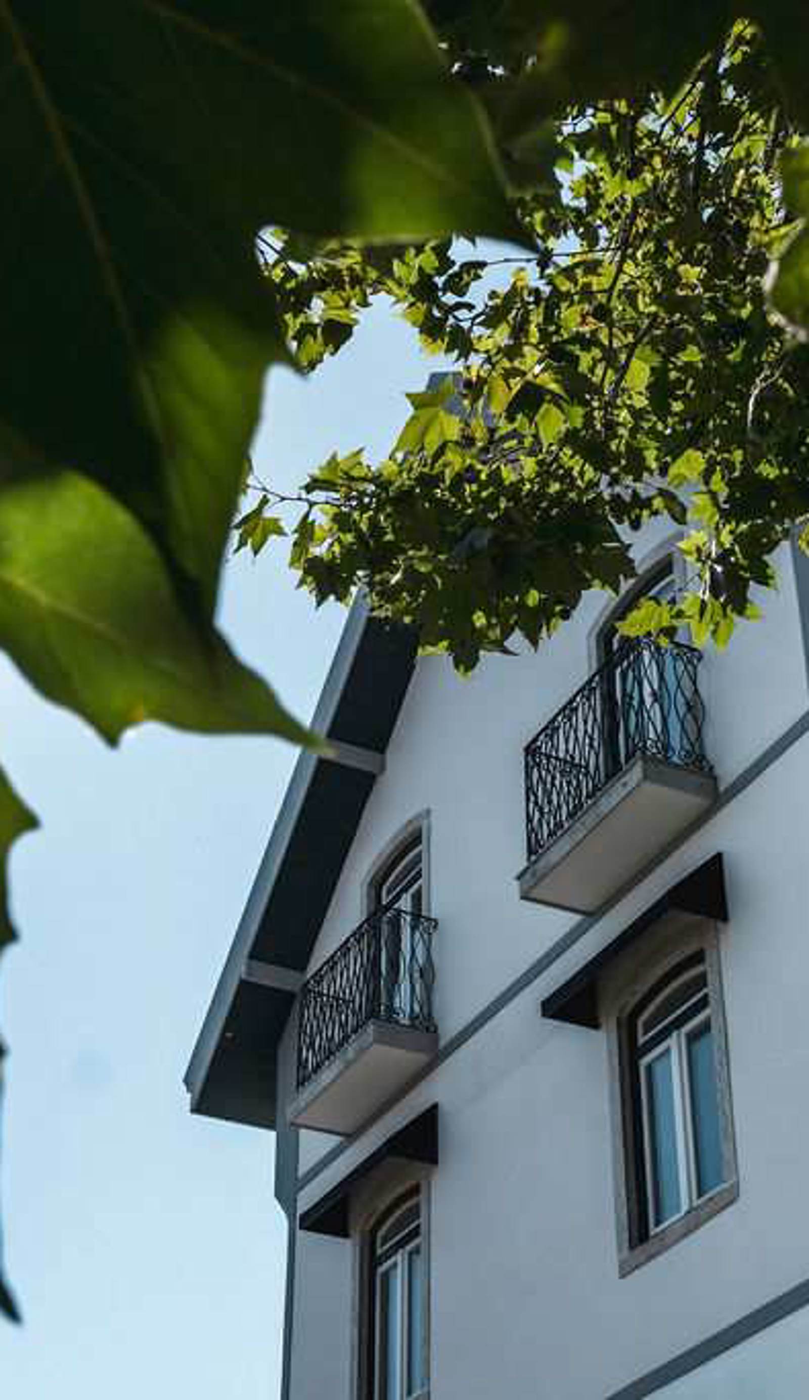 Live Sintra Boutique Guest House