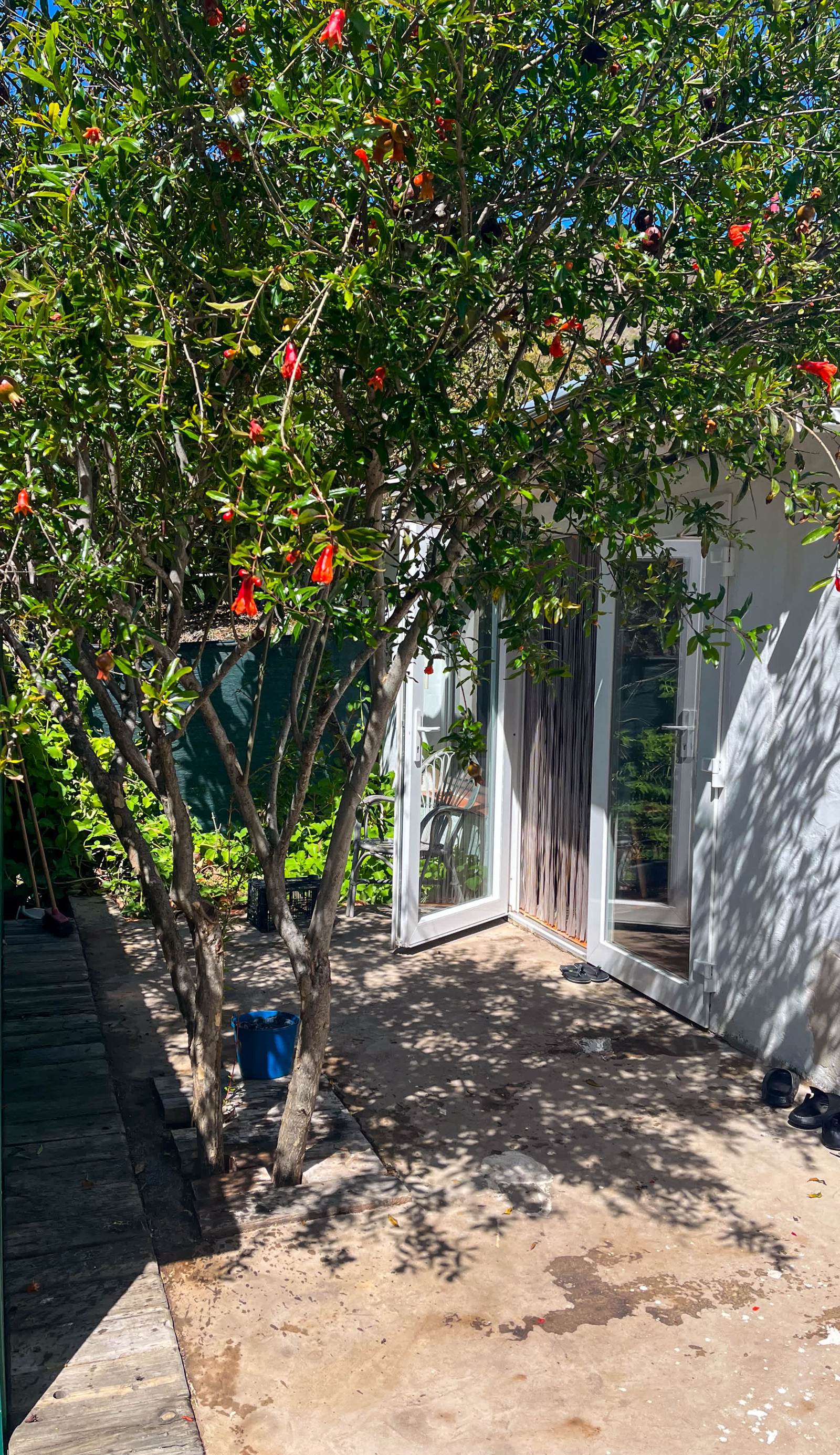 Eco Finca Mogán
