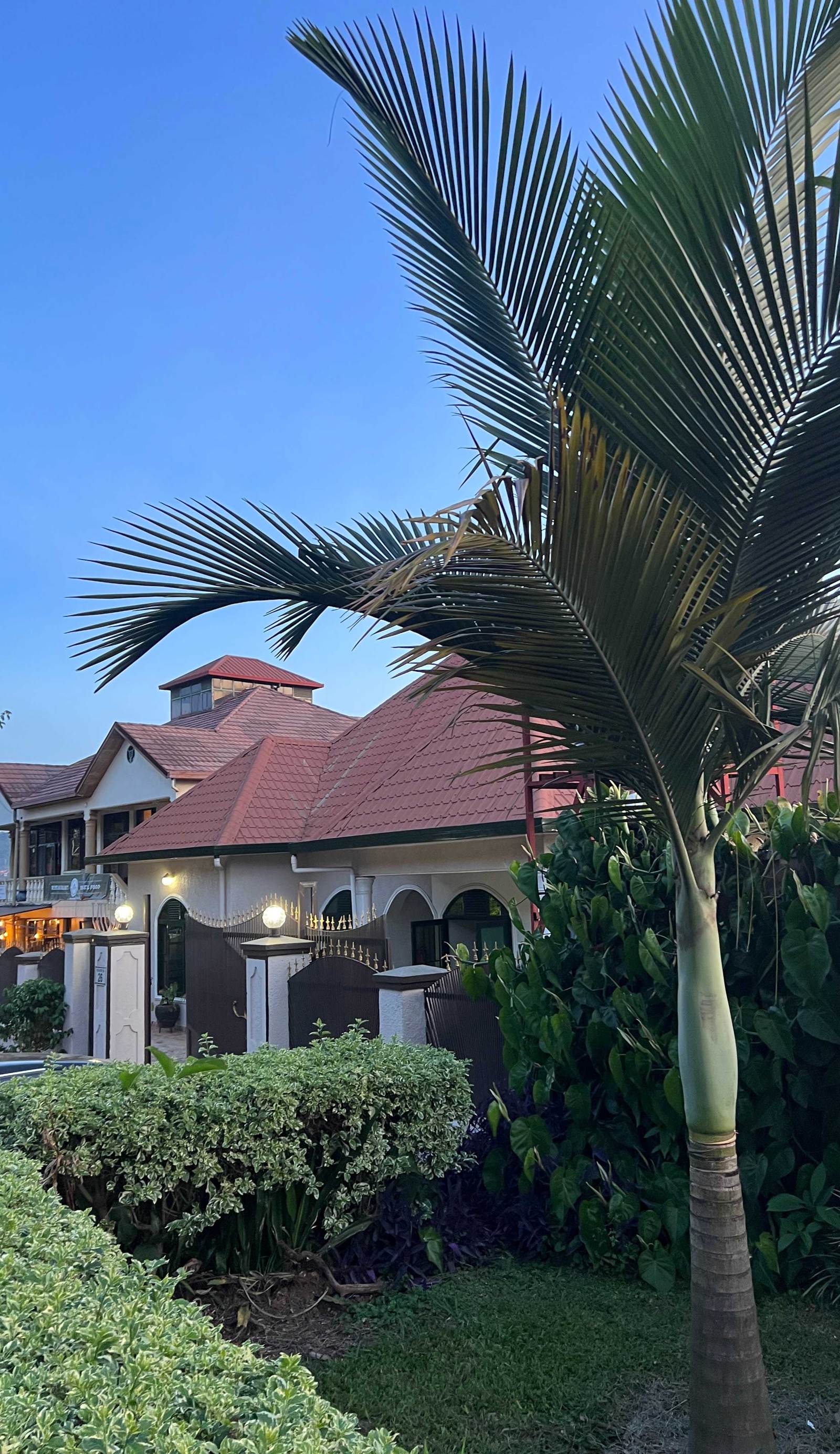 Gorilla Home Stay