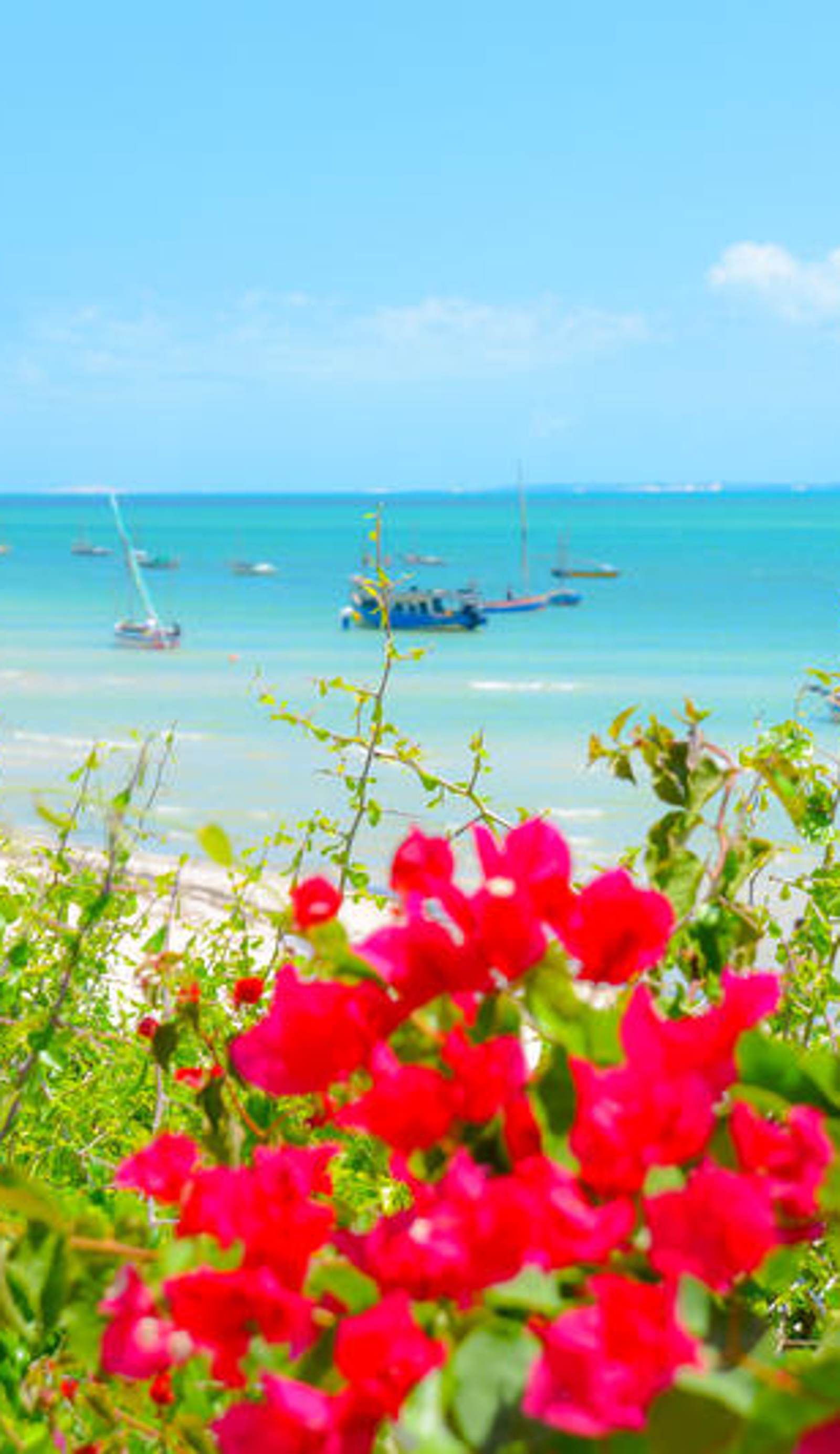 Baobab Beach Lodge and Backpackers
