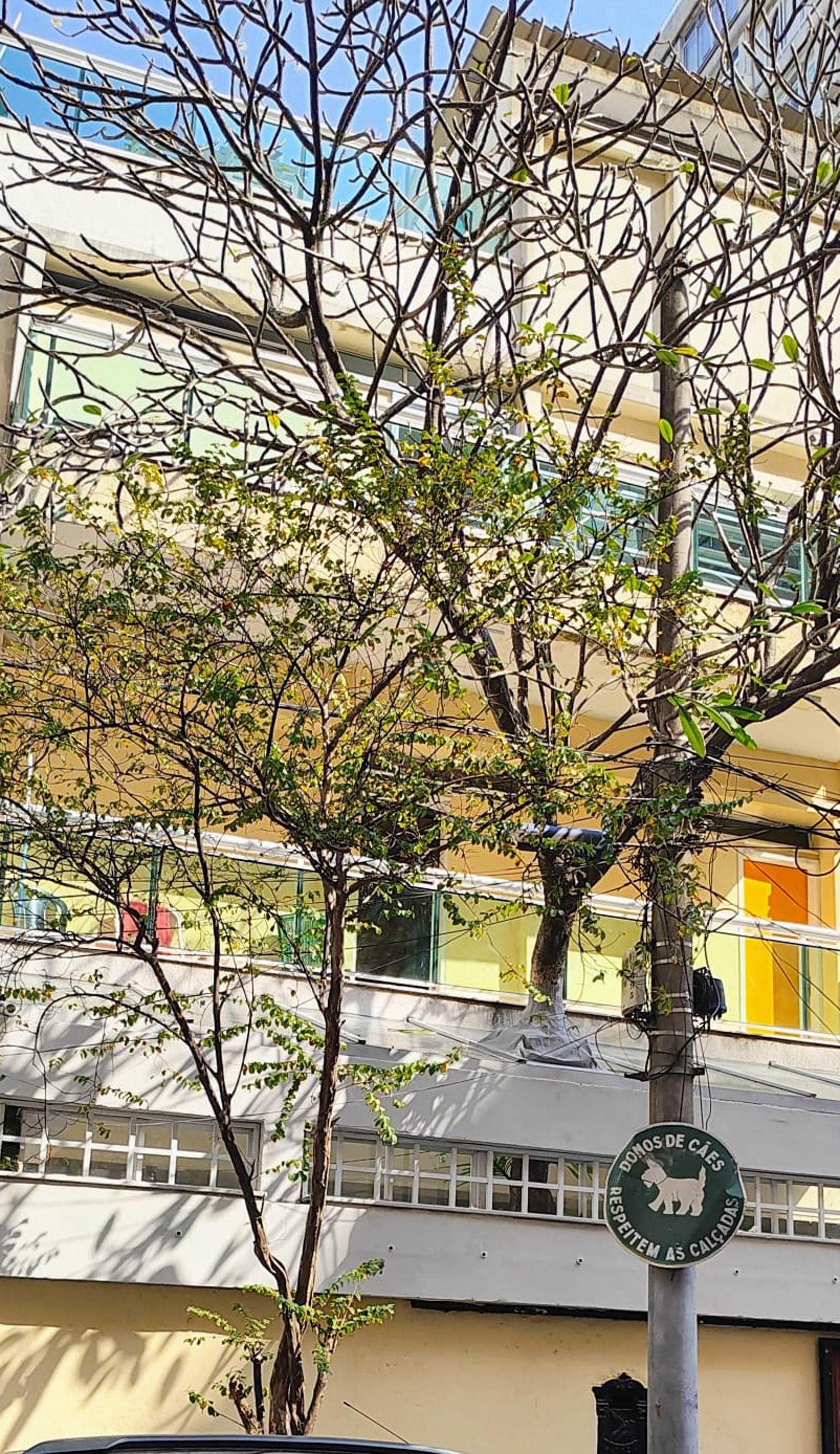 Hostel Mundo