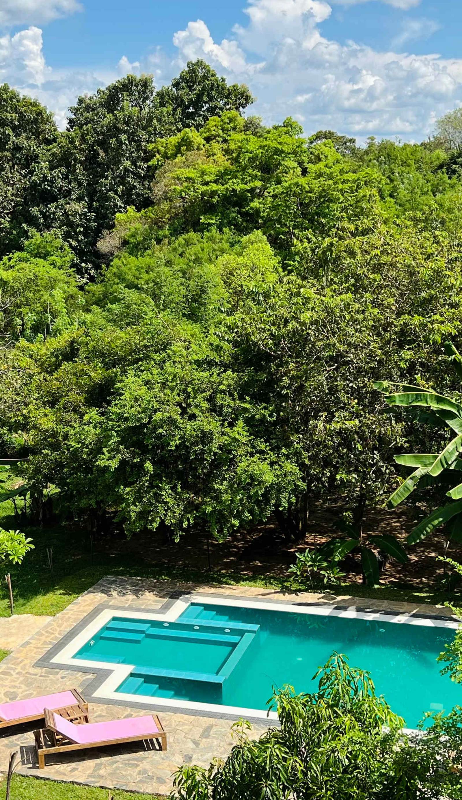Into The Wild Sigiriya