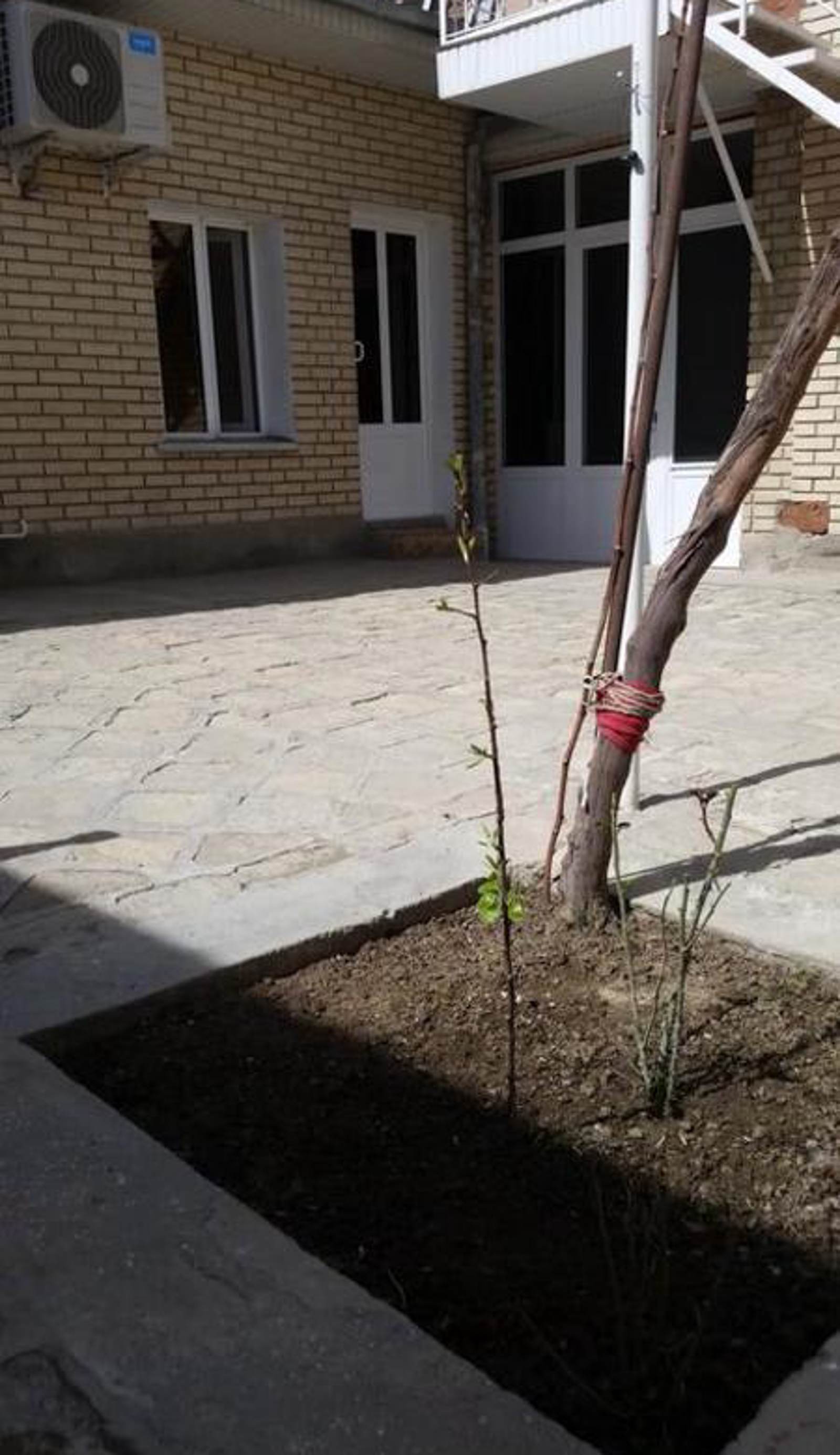 Hostel Payraviy Guest House