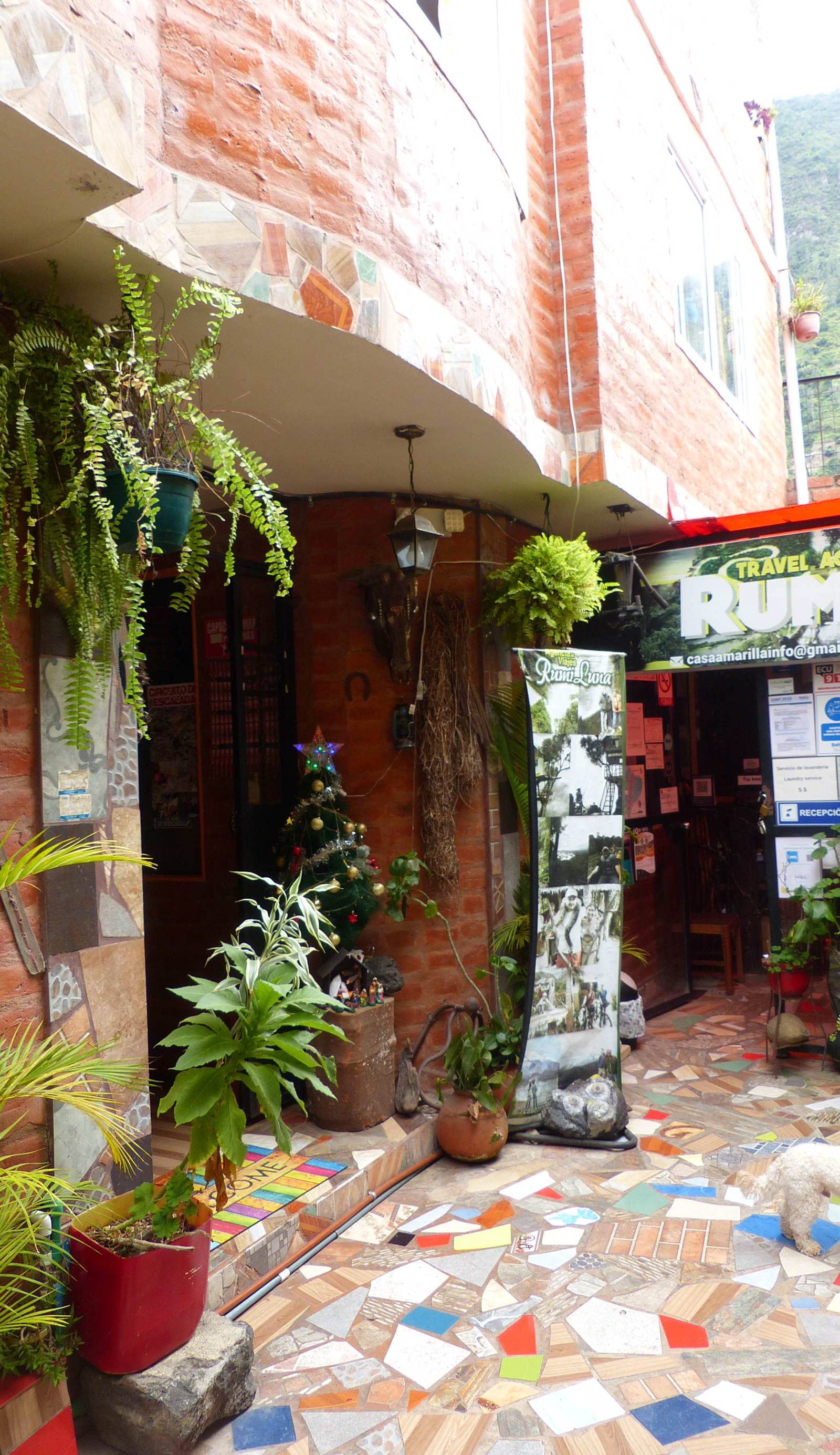 Hostal Casa Amarilla City
