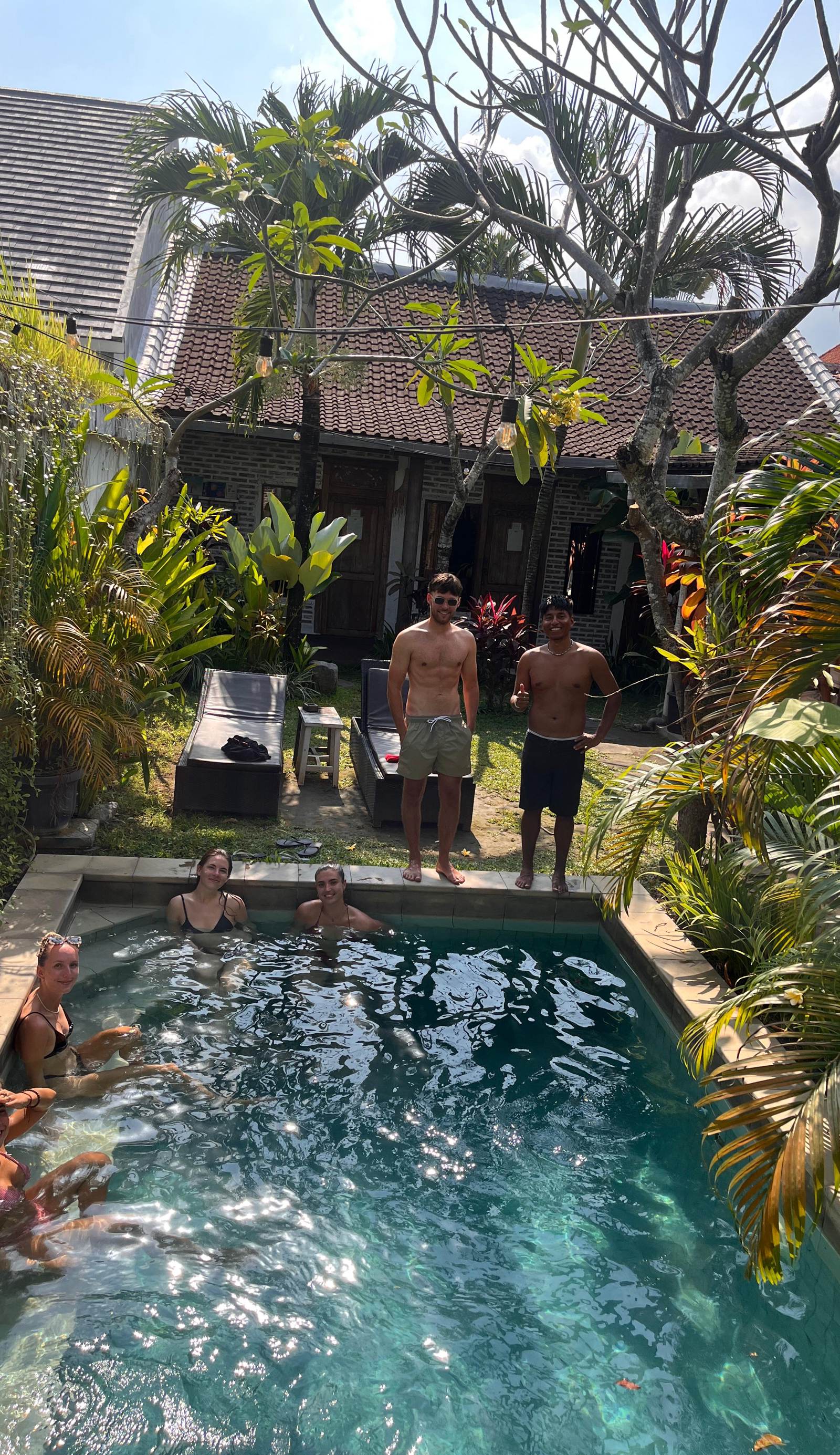 The Jungle House