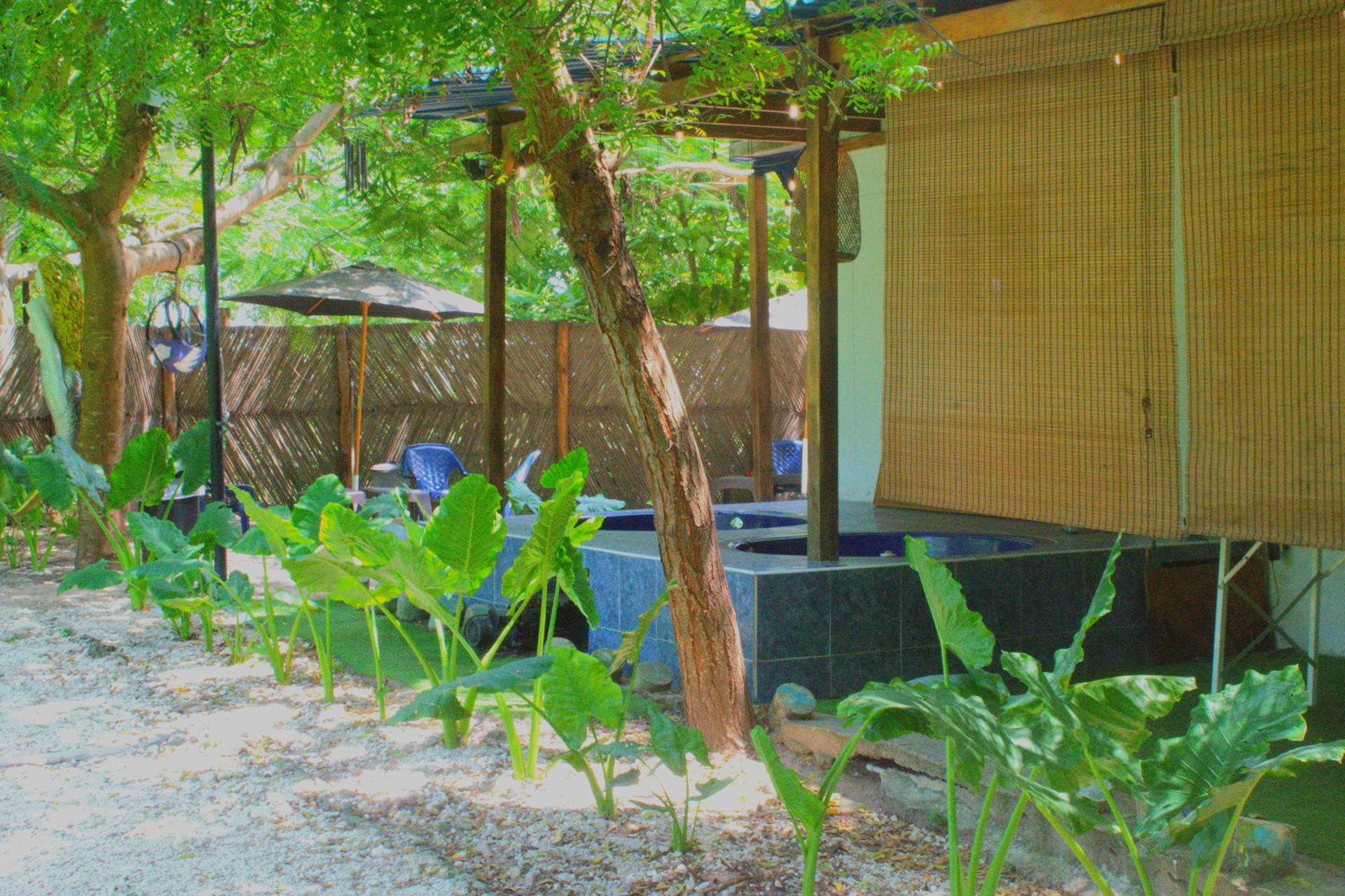 Mango Tree Island 4.20
