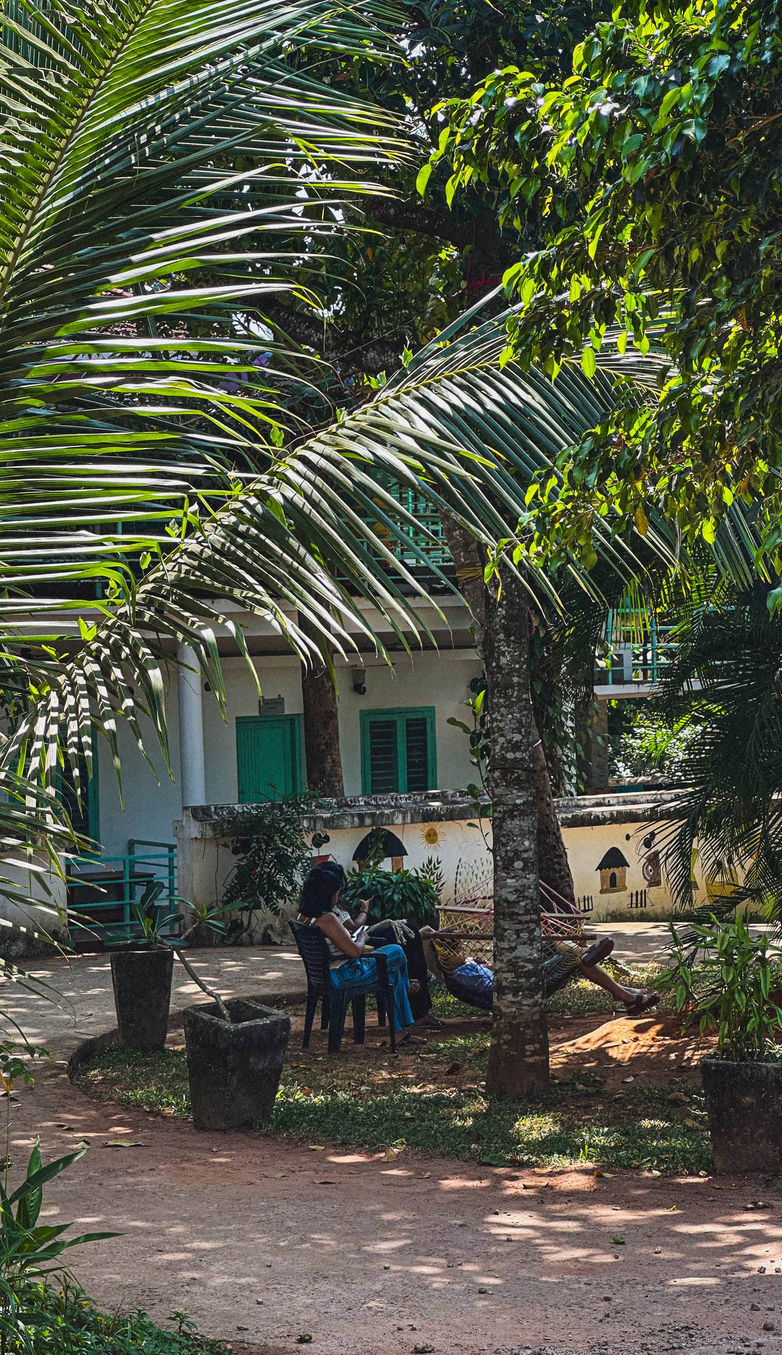 Mollys Hostel