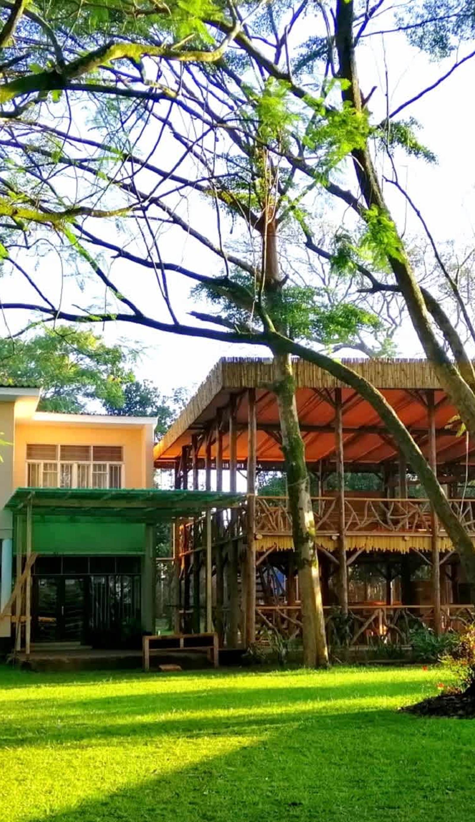 Jinja Backpackers