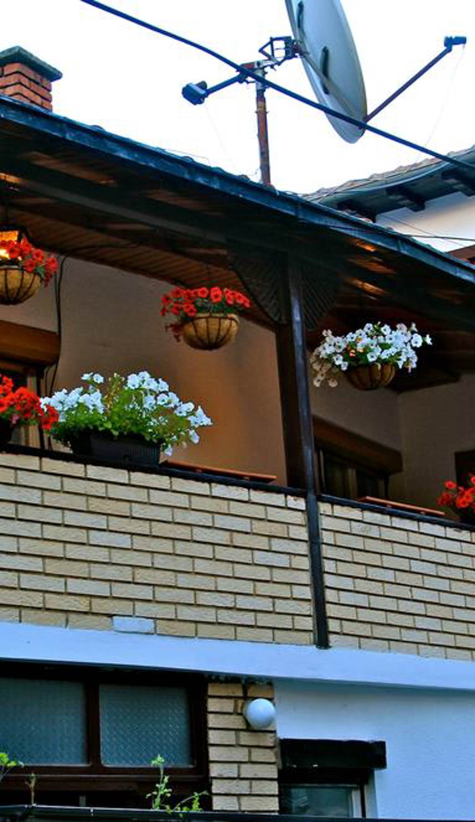 Hostel Bushati