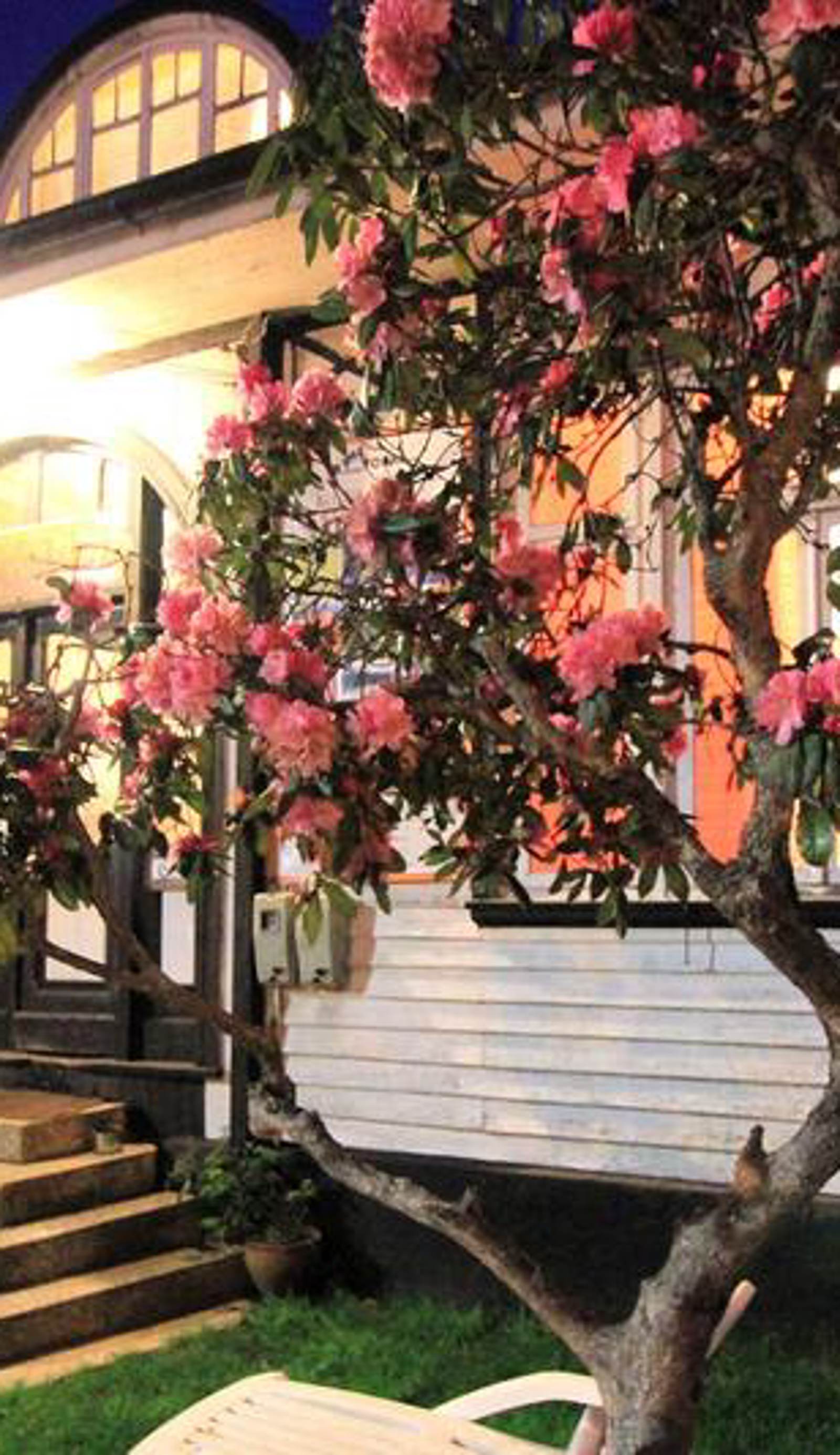 MaPatagonia Hostel