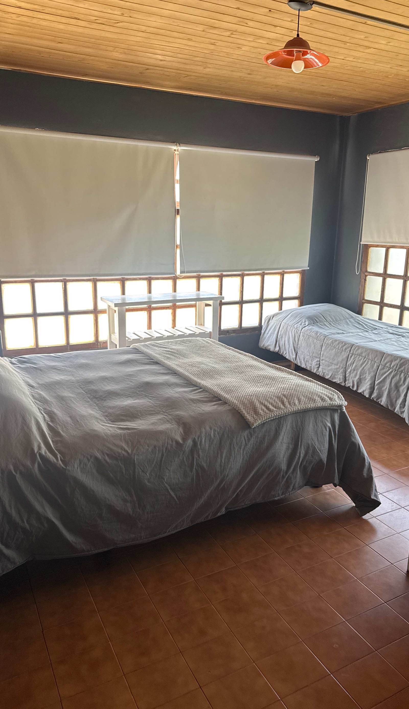 Pehuenia hostel y cabañas