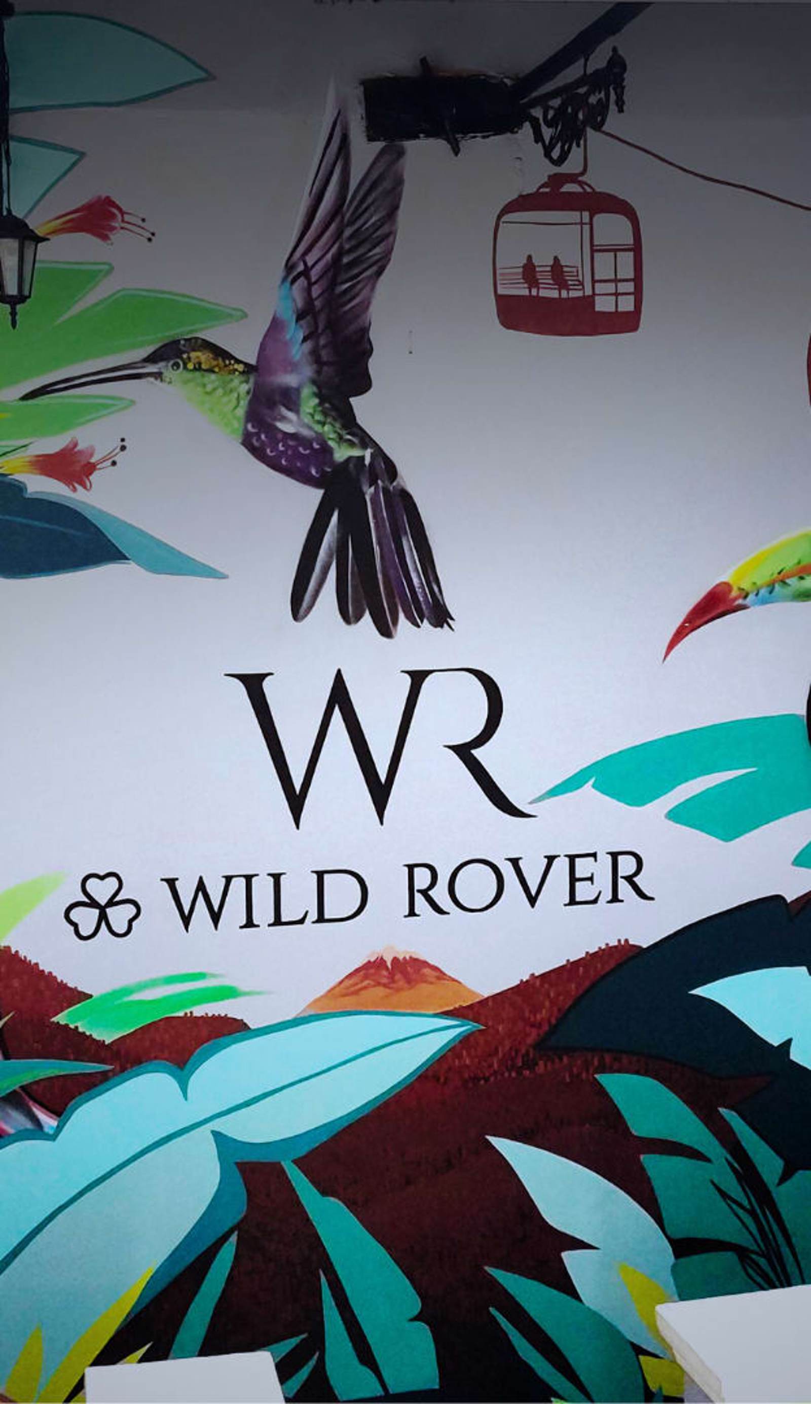 Wild Rover La Paz