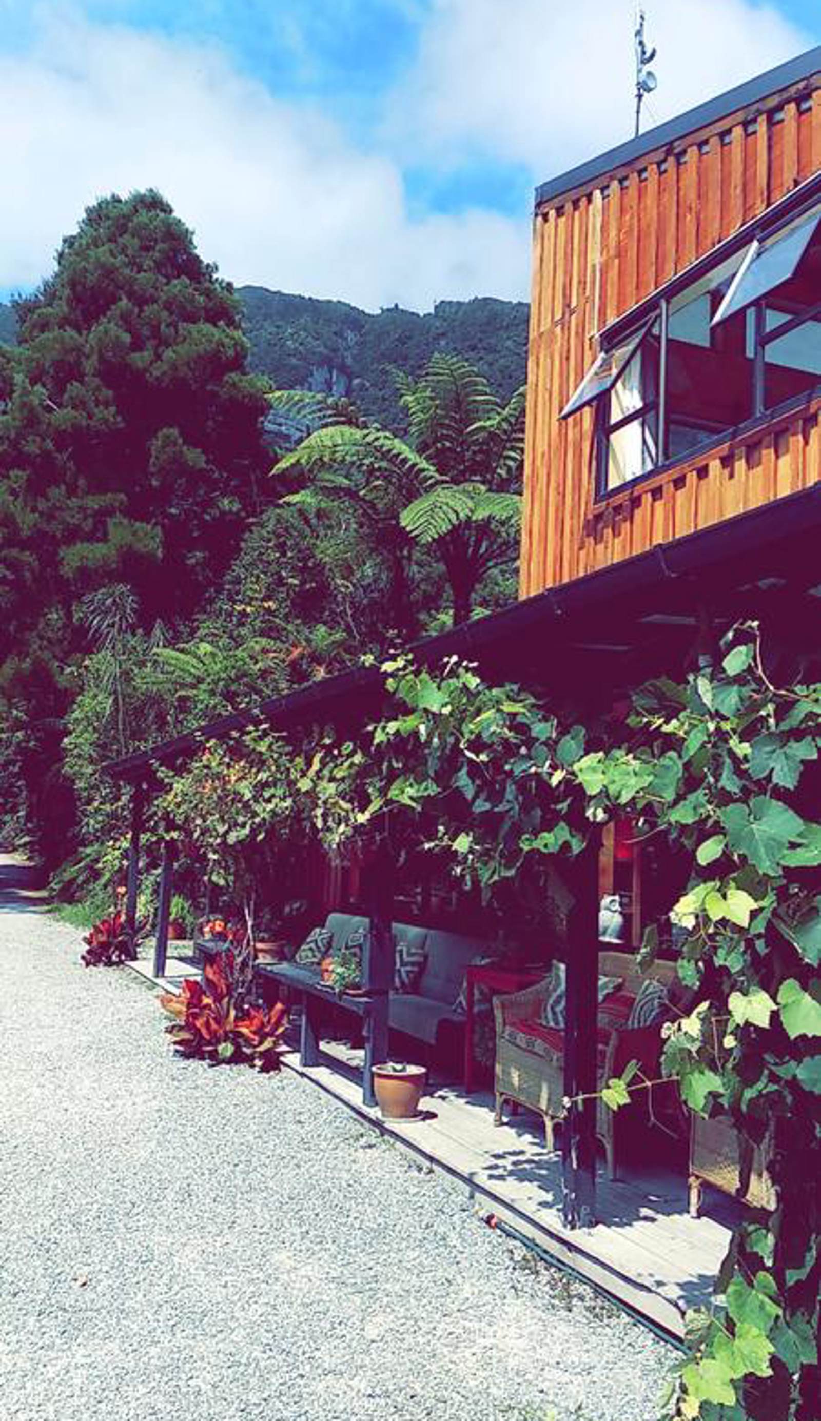 Te Nikau Retreat