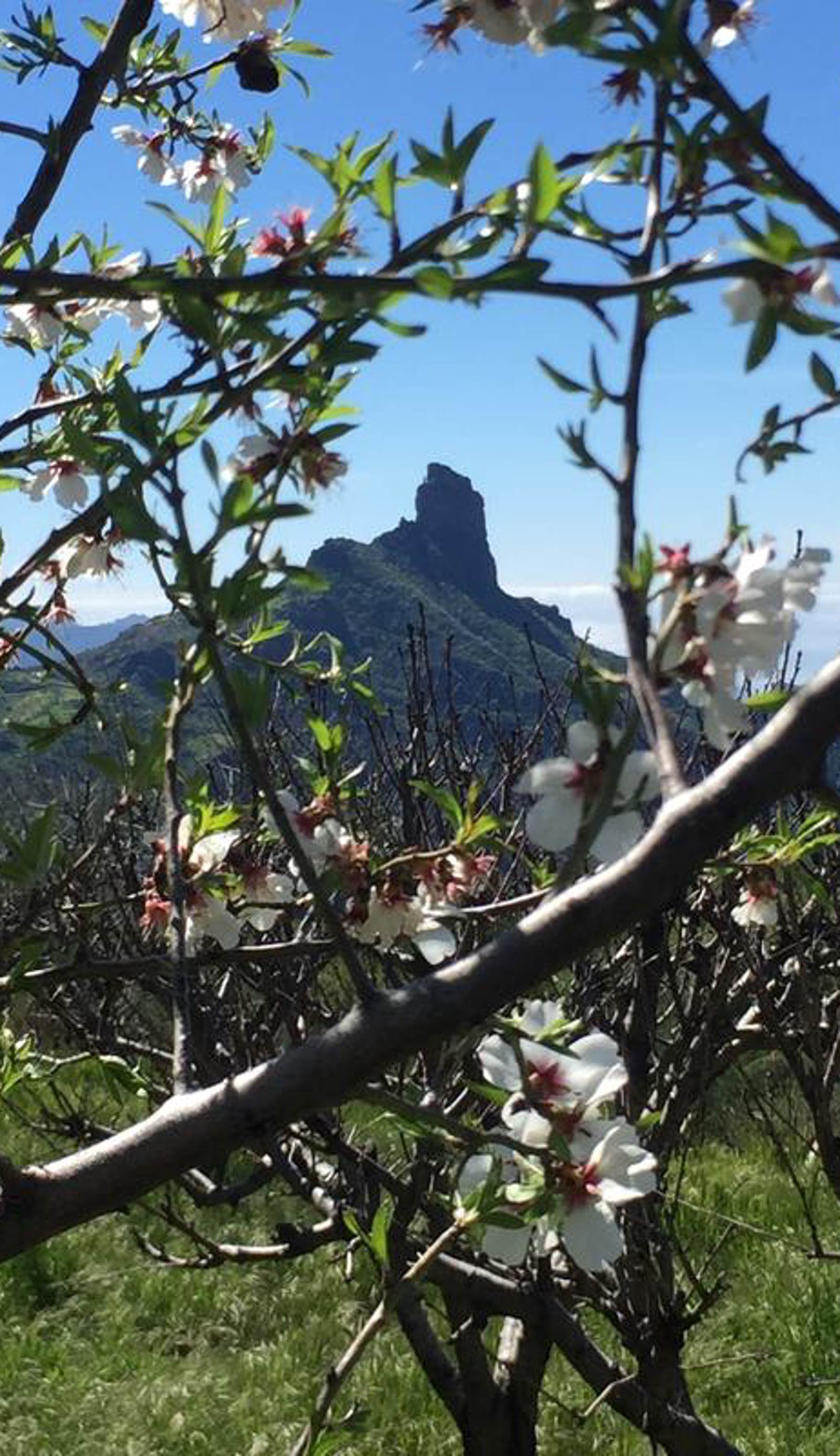 Mountain Hostel & House Finca La Isa by Rose