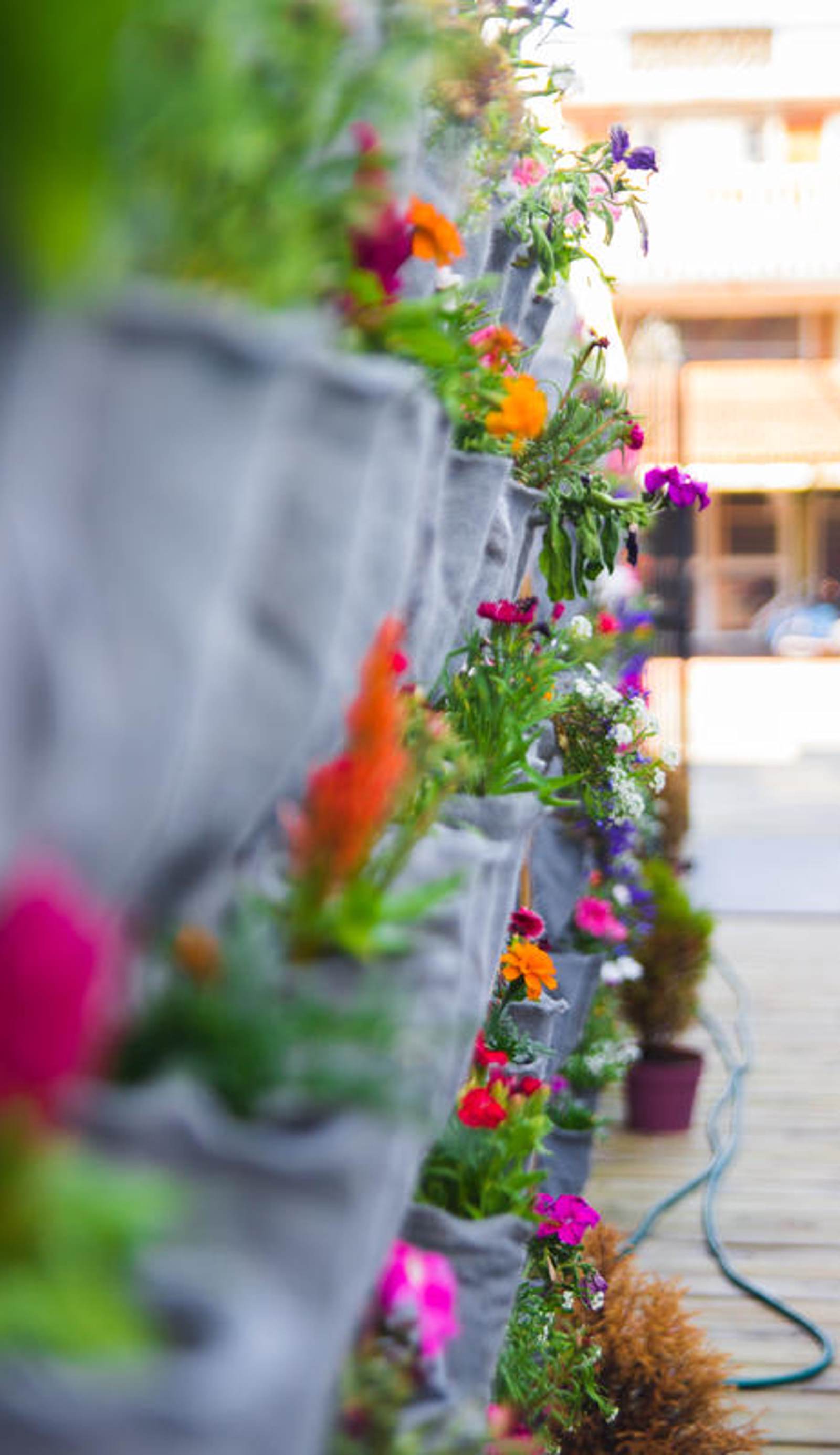 Del Barcito Hostel and Suites